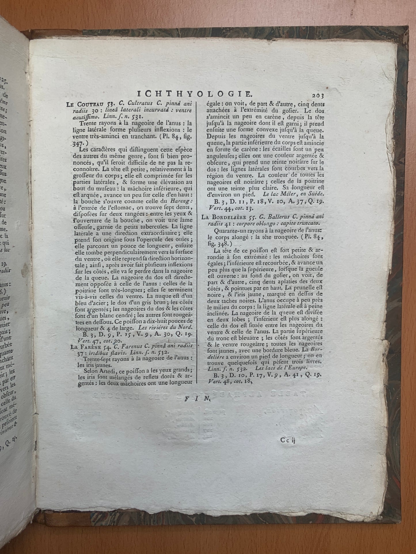 Ichthyologie - Poissons - Tableau encyclopédique - Abbé Bonnaterre - 1788