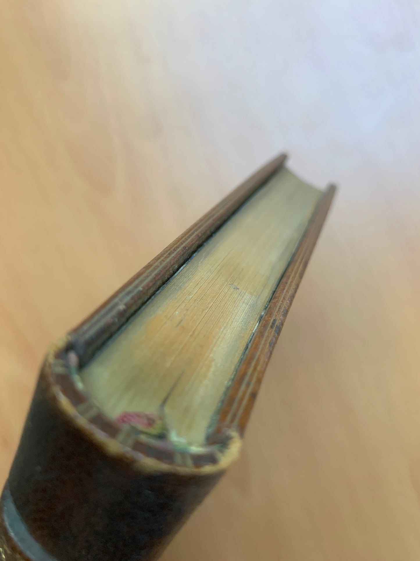 Premières Poésies 1856-1858 - Auguste Villiers de l'Isle Adam - Reliure mosaïquée signée Asper frères - 1893