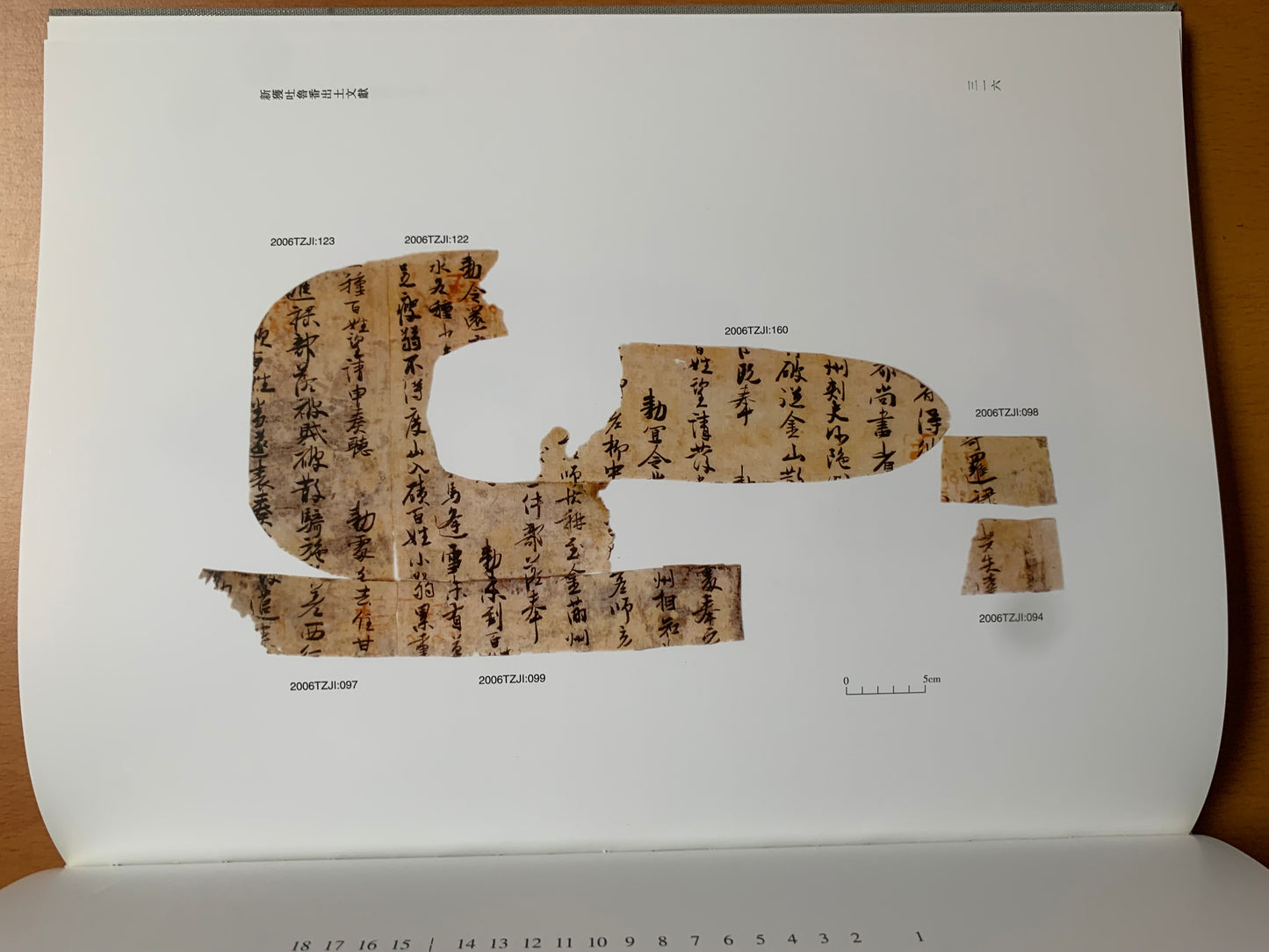 Newly Discovered Turfan Documents