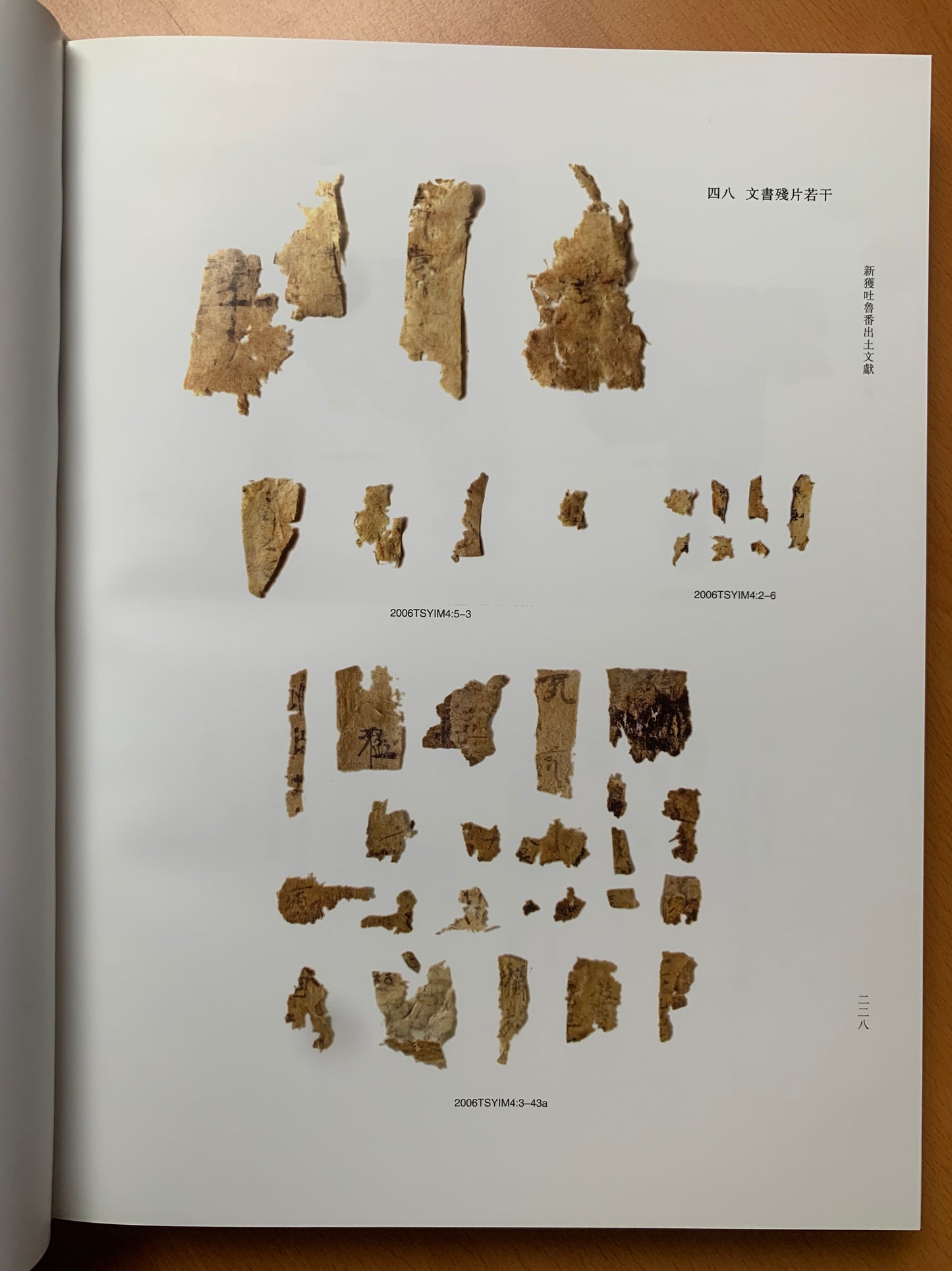 Newly Discovered Turfan Documents