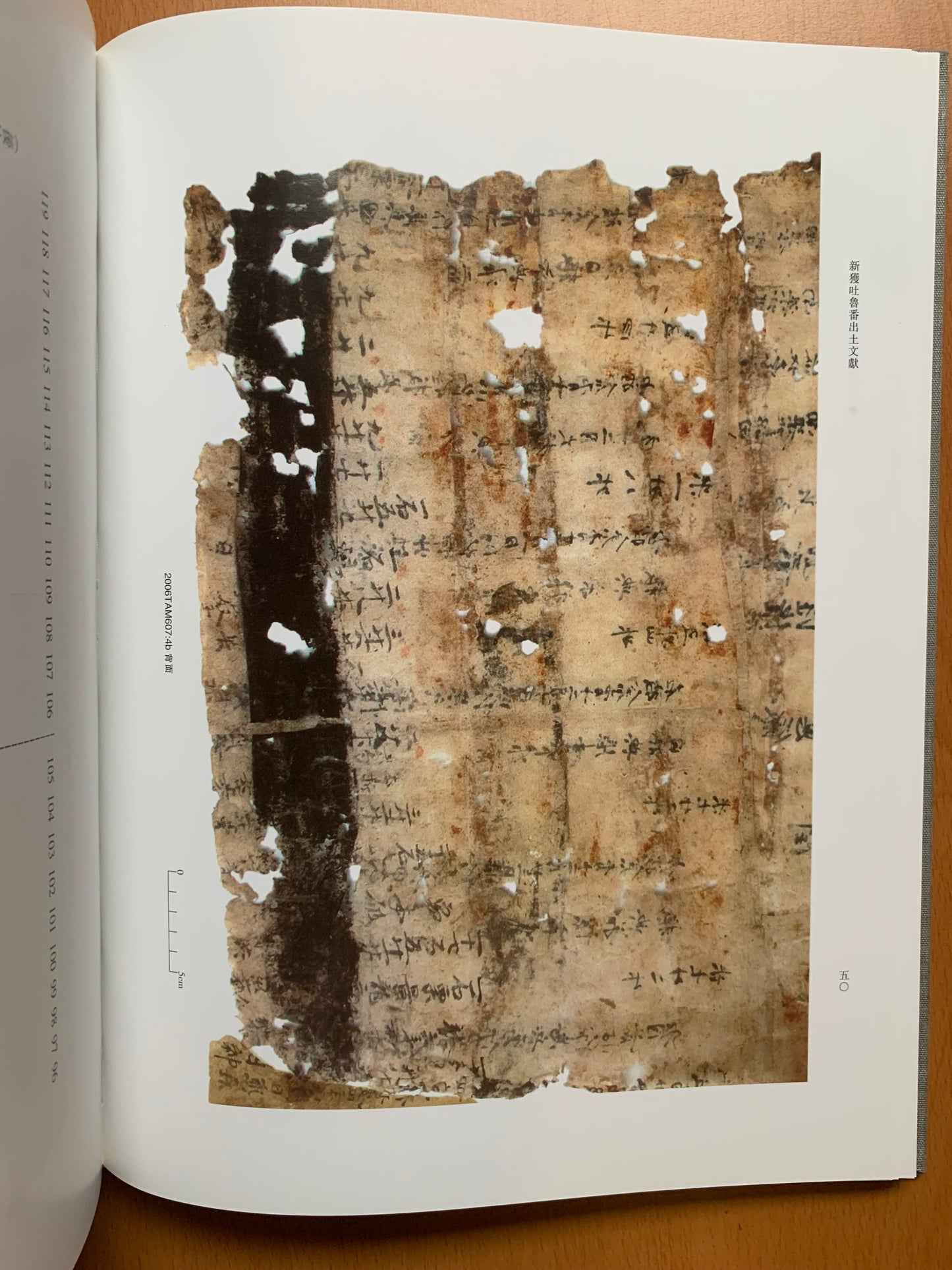 Newly Discovered Turfan Documents