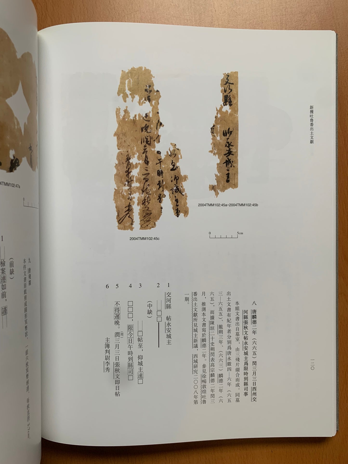 Newly Discovered Turfan Documents