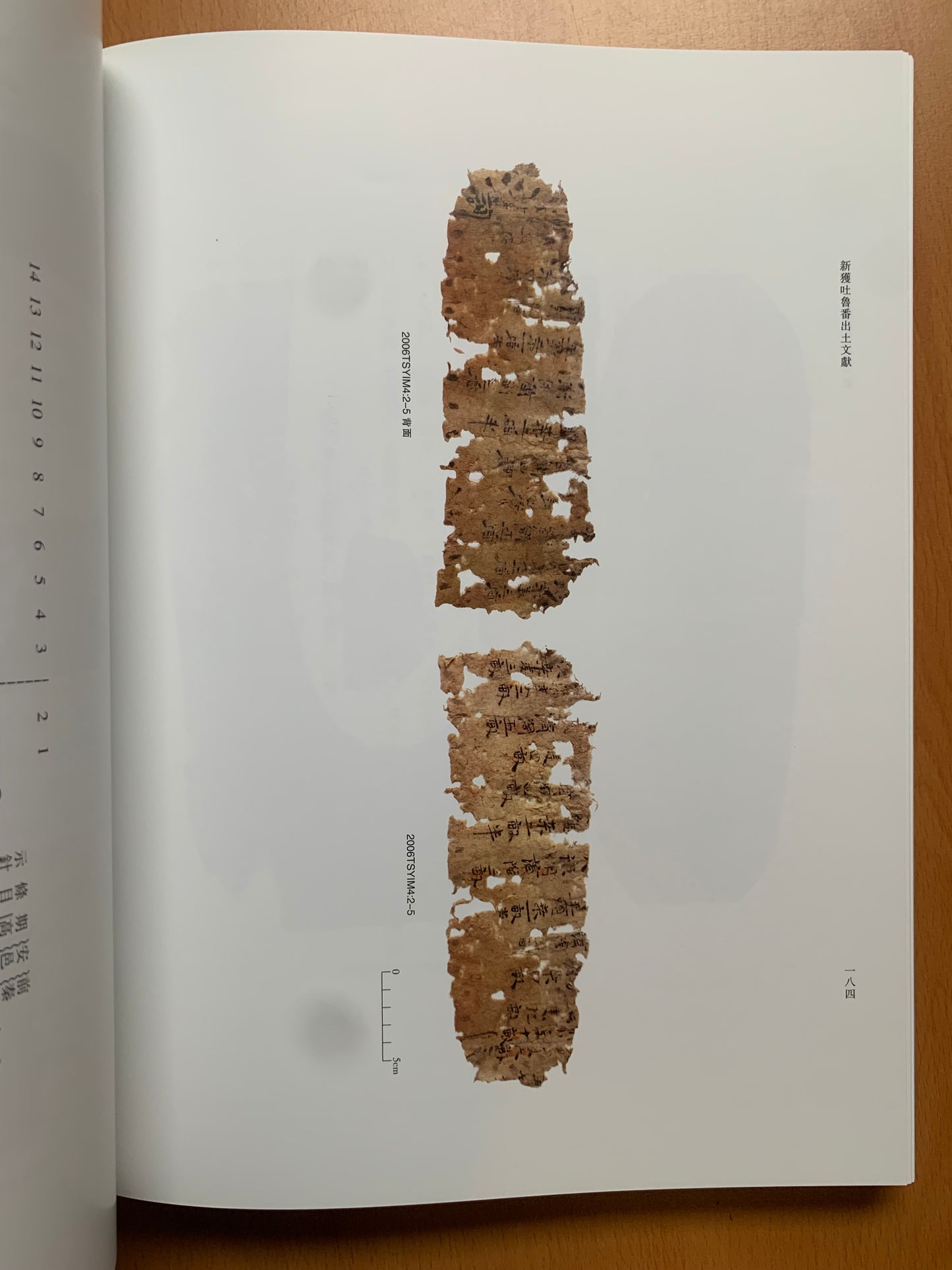 Newly Discovered Turfan Documents