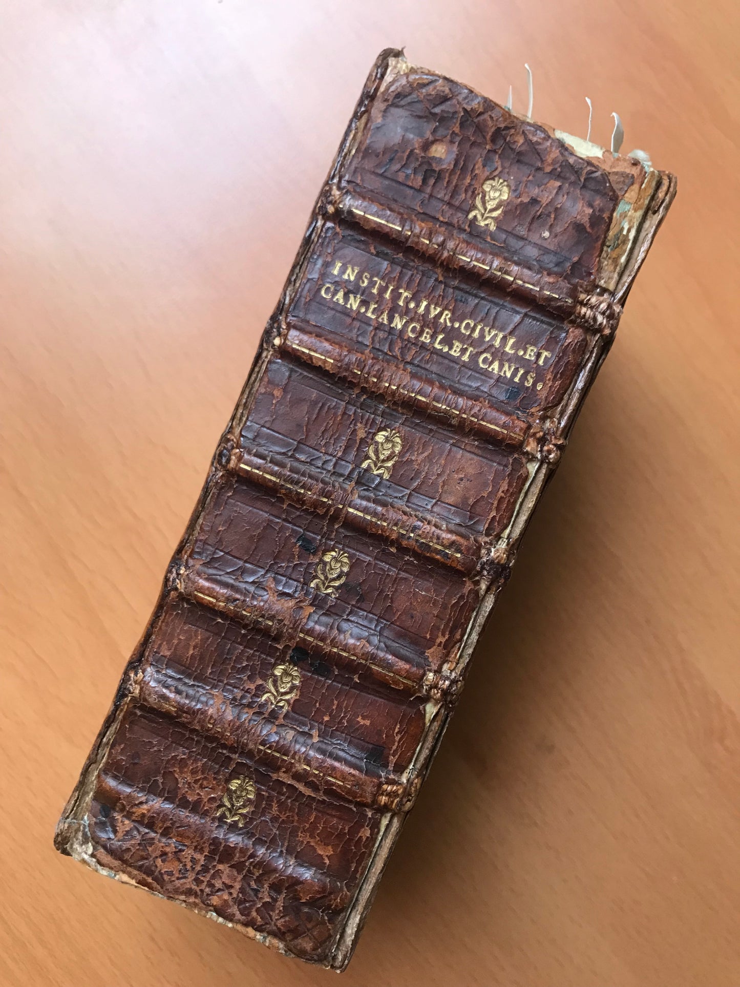 Recueil de 5 ouvrages XVIème édités par Christophori Plantini