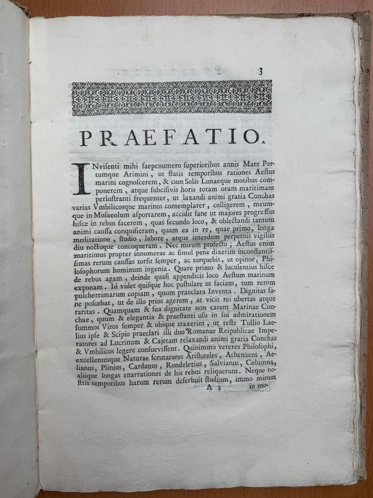 De conchis minus notis liber Cui accessit specimen aestus reciproci maris superi ad littus portumque Arimini - Janus Plancus - Edition originale - 1739