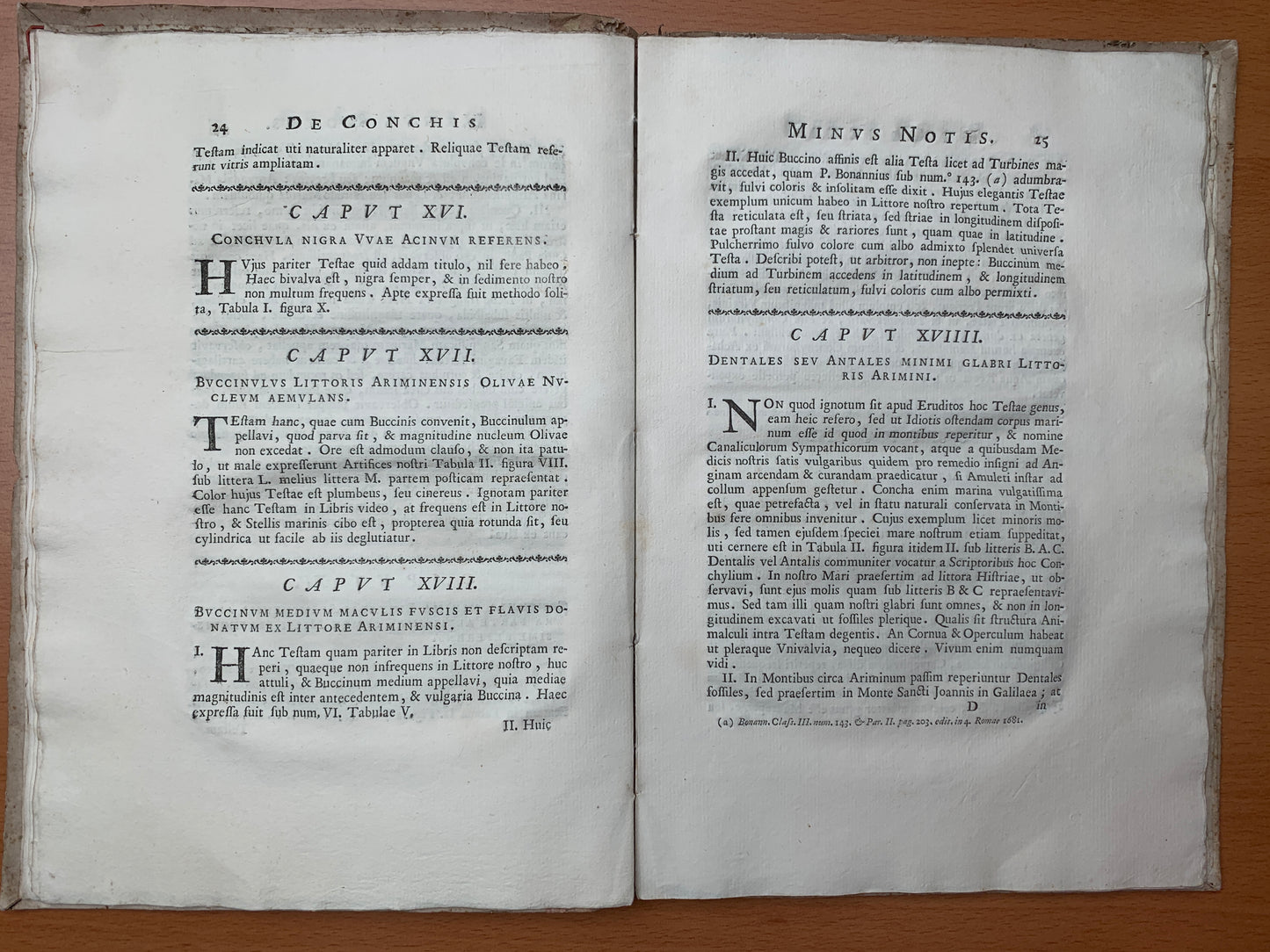 De conchis minus notis liber Cui accessit specimen aestus reciproci maris superi ad littus portumque Arimini - Janus Plancus - Edition originale - 1739