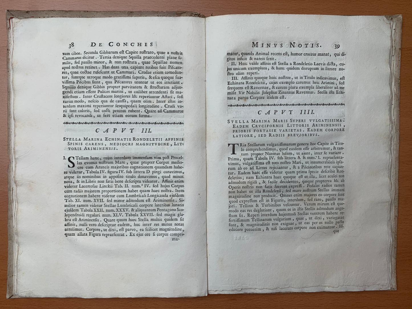 De conchis minus notis liber Cui accessit specimen aestus reciproci maris superi ad littus portumque Arimini - Janus Plancus - Edition originale - 1739