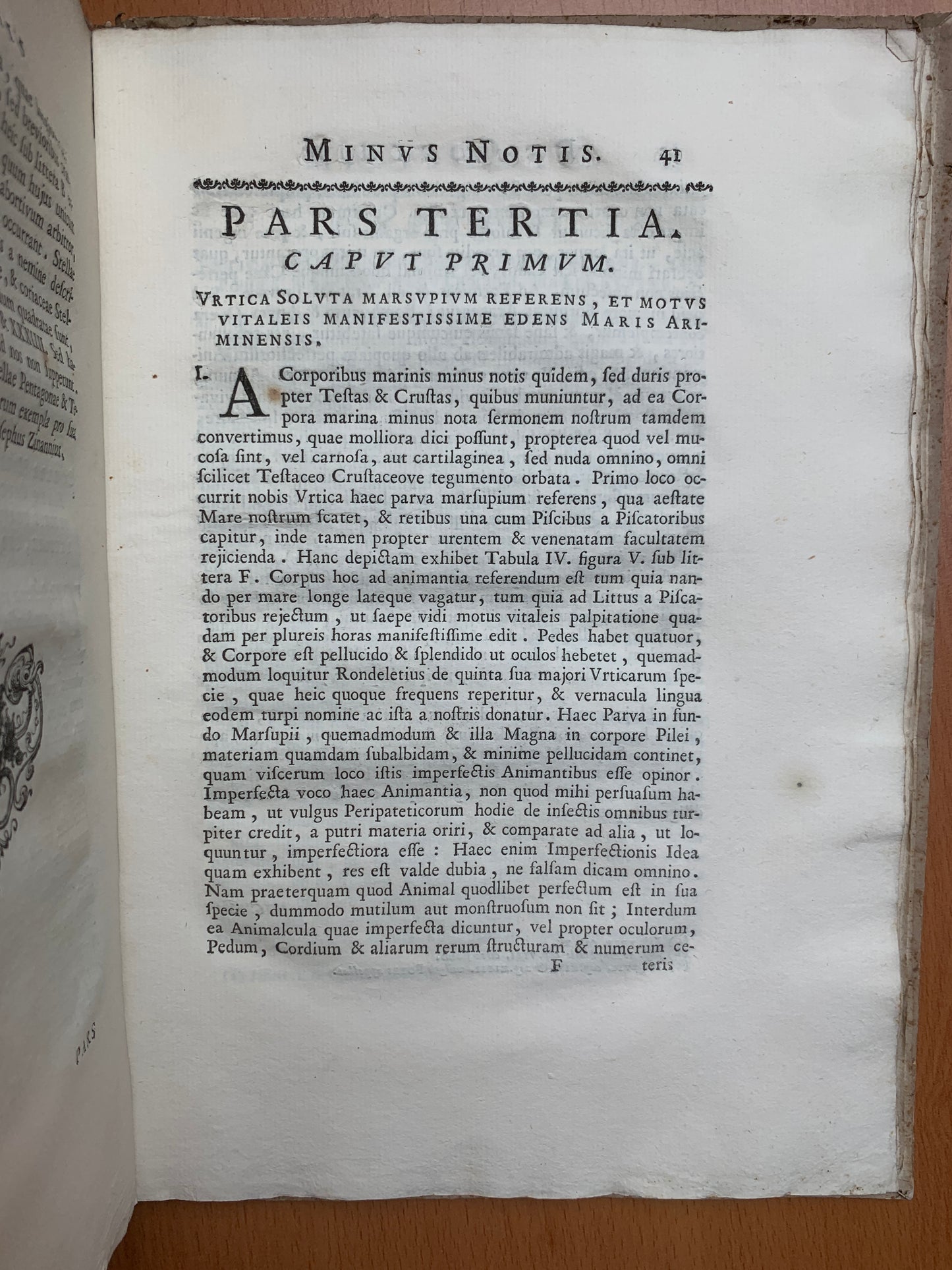 De conchis minus notis liber Cui accessit specimen aestus reciproci maris superi ad littus portumque Arimini - Janus Plancus - Edition originale - 1739