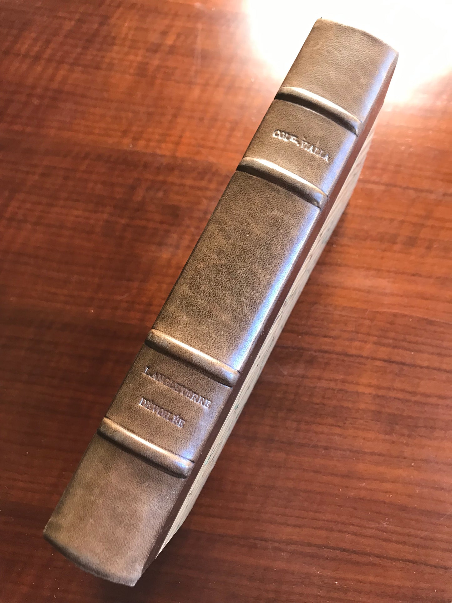 L'Angleterre dévoilée ou Documents historiques pour servir à donner à la France l'éveil sur l'avenir de nos possessions en Afrique - Colonel Vialla de Sommières - 1846
