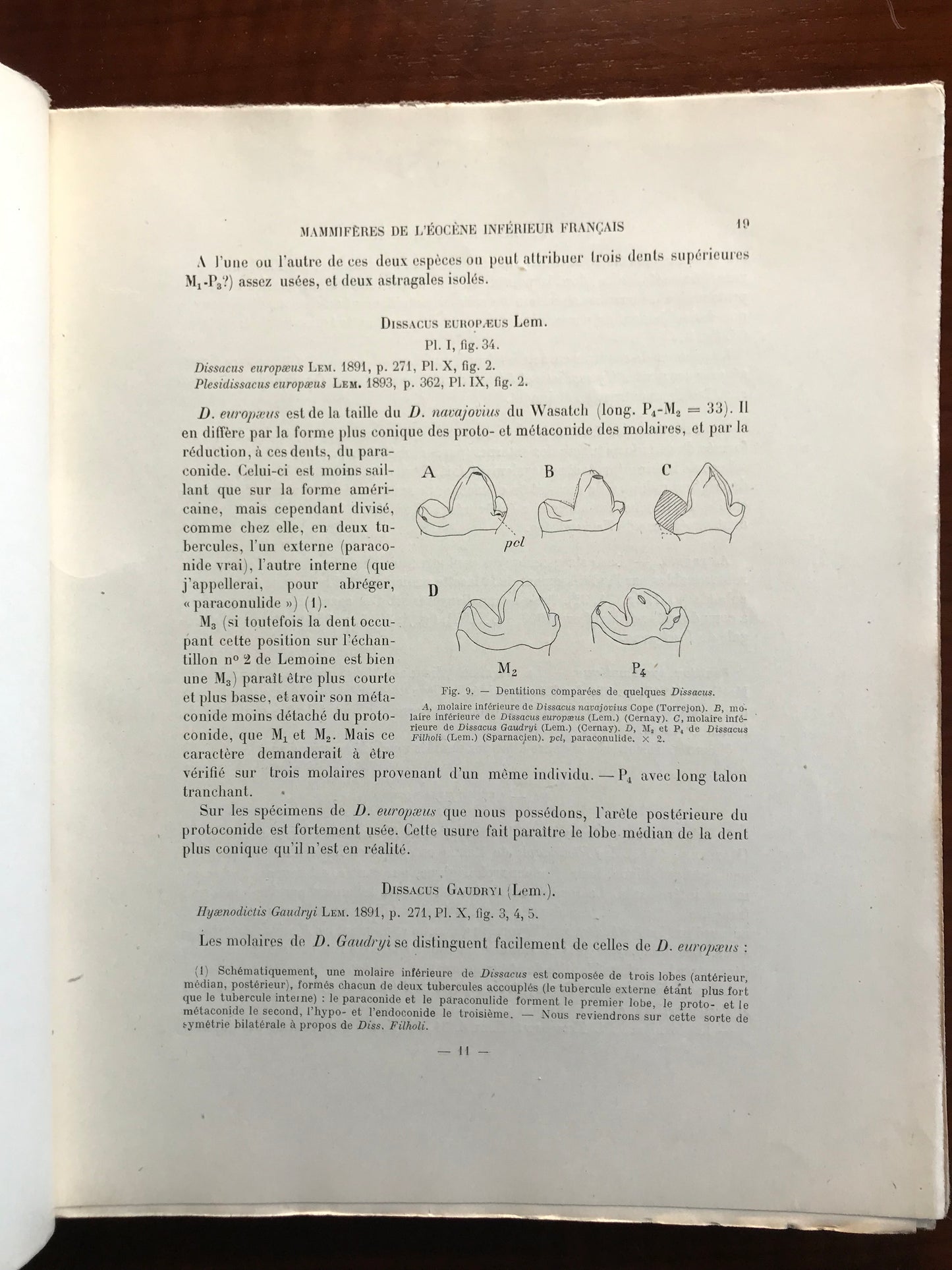 Les mammifères de l'éocène inférieur français et leurs gisements - Pierre Teilhard de Chardin - Edition originale de sa thèse - Envoi autographe - 1922