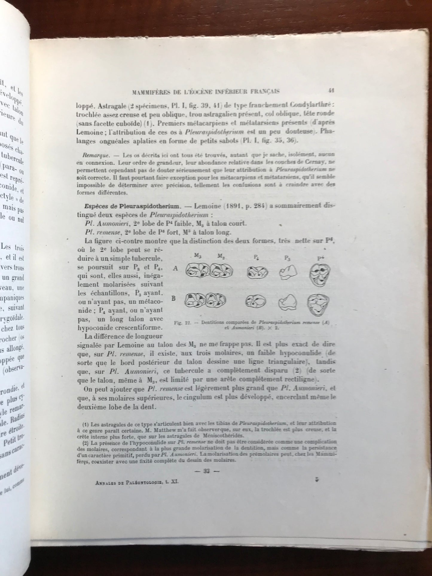 Les mammifères de l'éocène inférieur français et leurs gisements - Pierre Teilhard de Chardin - Edition originale de sa thèse - Envoi autographe - 1922