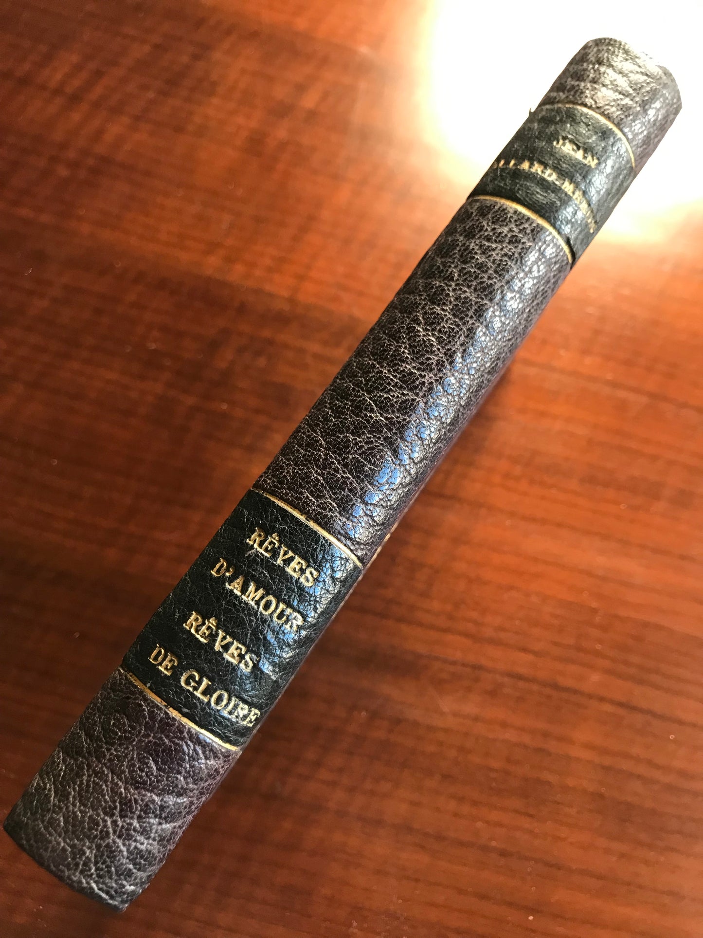Rêves d'amour ! Rêves de gloire ! Jean Allard Méeus - 1920