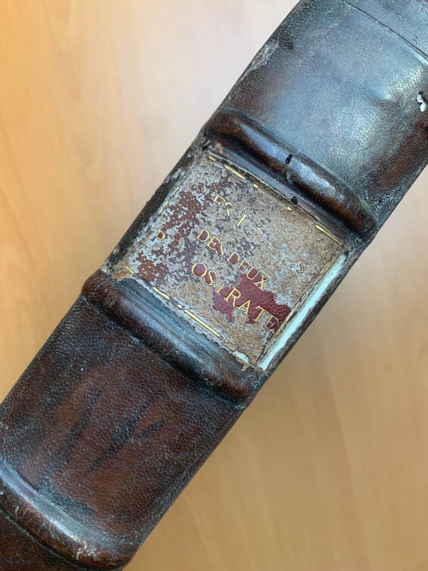 Les images ou tableaux de platte peinture des deux Philostrates sophistes grecs et les statues de Callistrate - Blaise de Vigenère - 1637