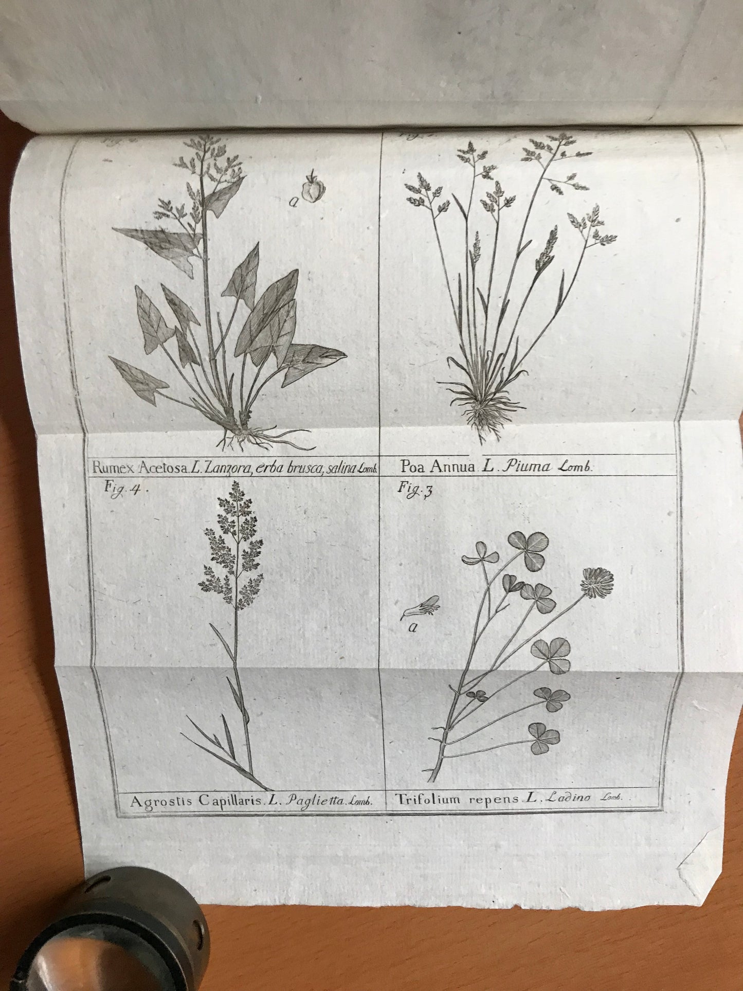 Elementi d'Agricoltura di Lodovico Mitterpacher di Mitternburg - 1794