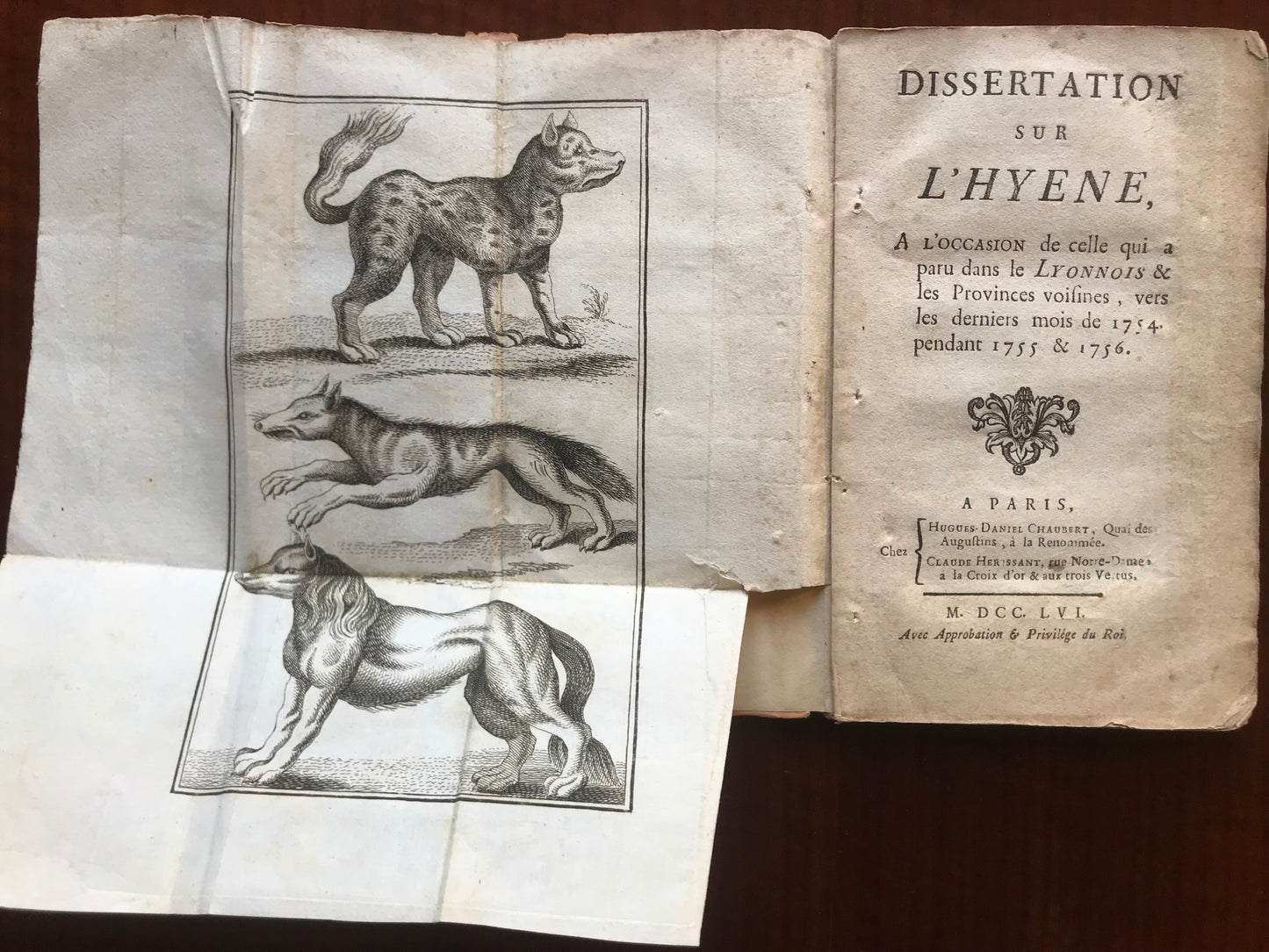 Dissertation sur l'Hyène à l'occasion de celle qui a paru dans le Lyonnois & les Provinces voisines, vers les derniers mois de 1754, pendant 1755 & 1756 - Charles-Pierre-Xavier Tolomas- 1756