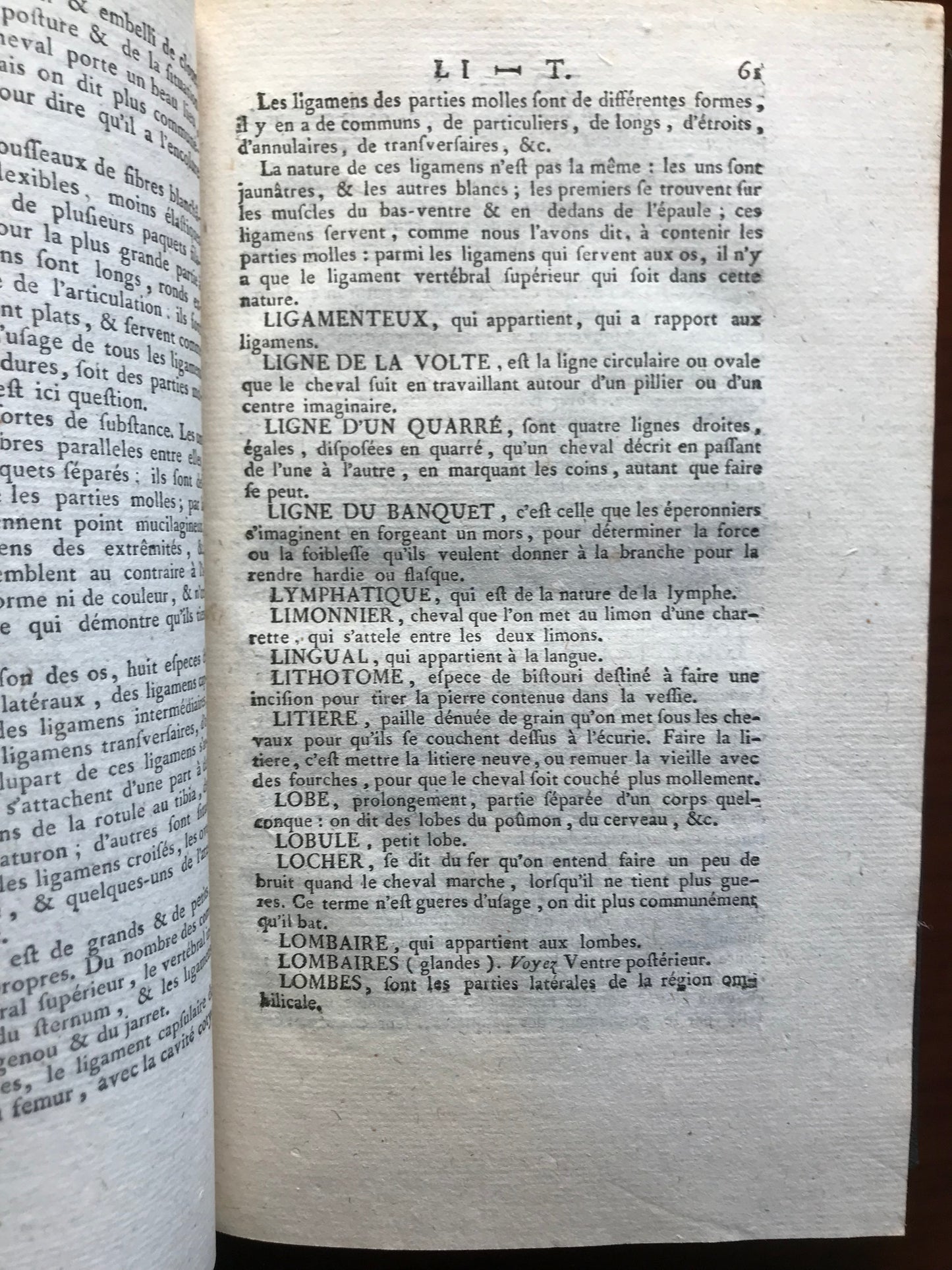 Dictionnaire raisonné d'hippiatrique, cavalerie, manège et maréchalerie - Lafosse - 1776
