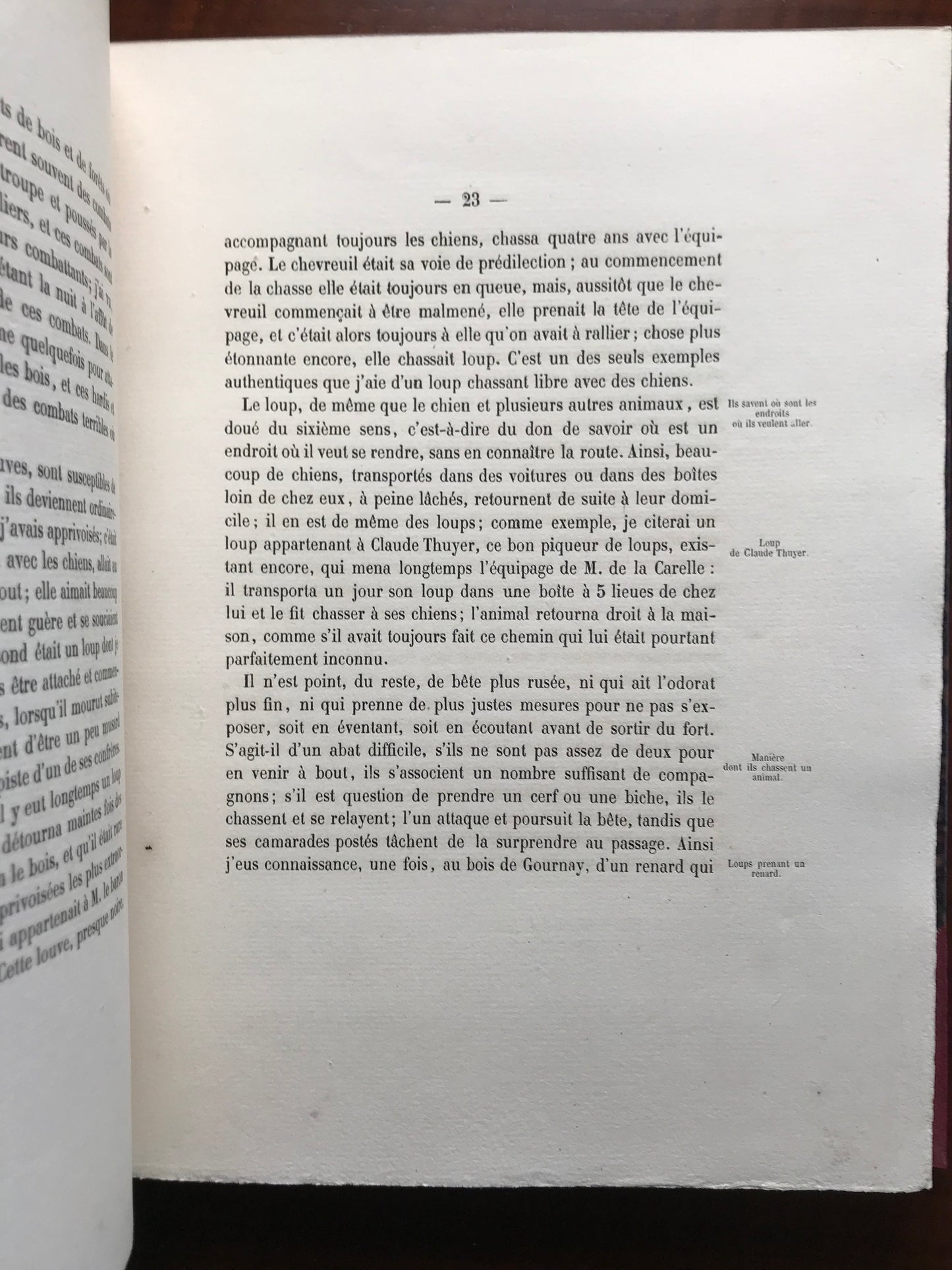 La Chasse du Loup - Avec des planches photographiques d'après nature par MM. Crémière, Hanfstaengl et Platel - J.E.H Baron Le Couteulx de Canteleu - Edition originale signée - 1861