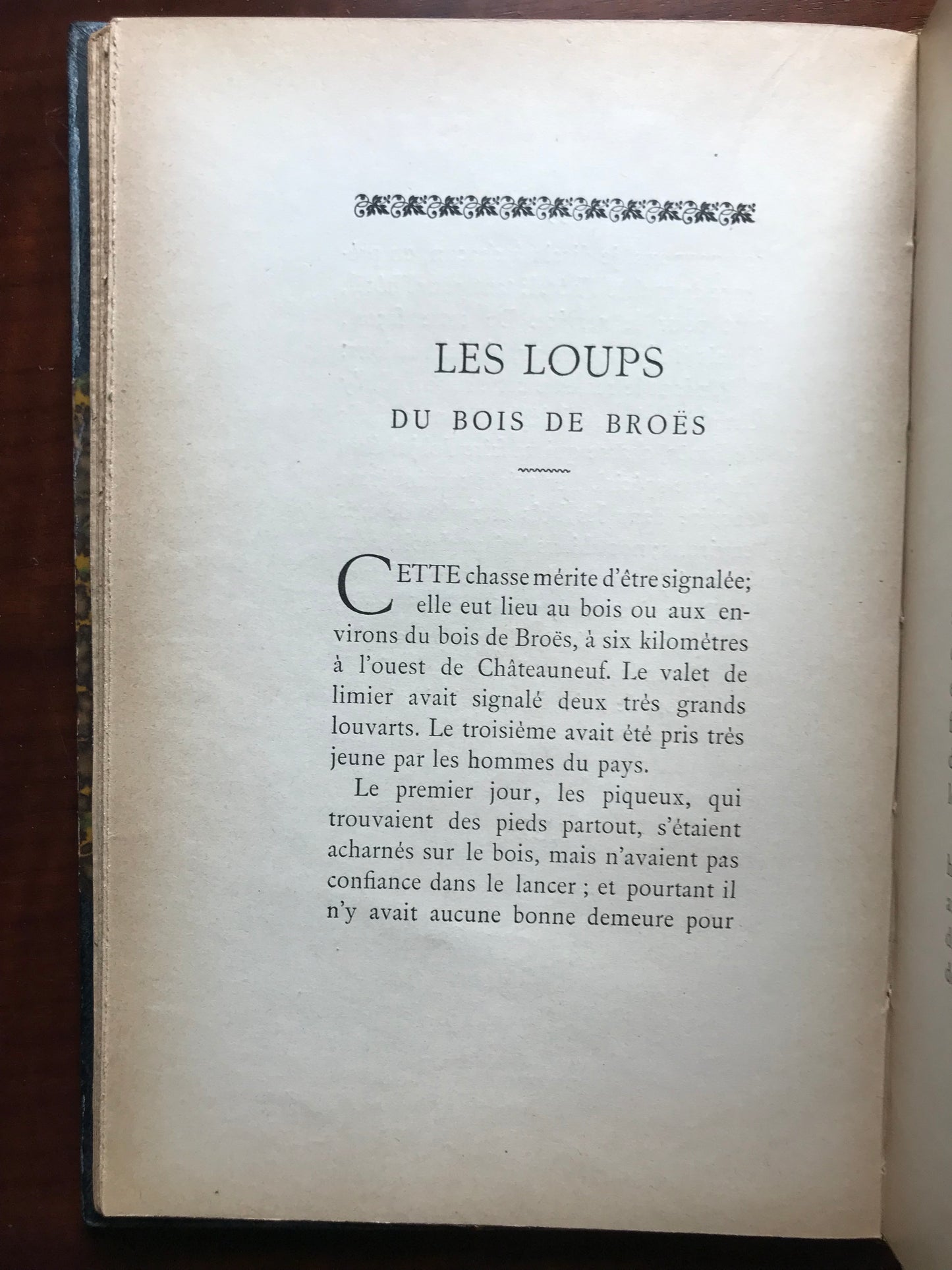 Mes chasses de loups - Baron Halna du Fretay - Edition originale - 1891