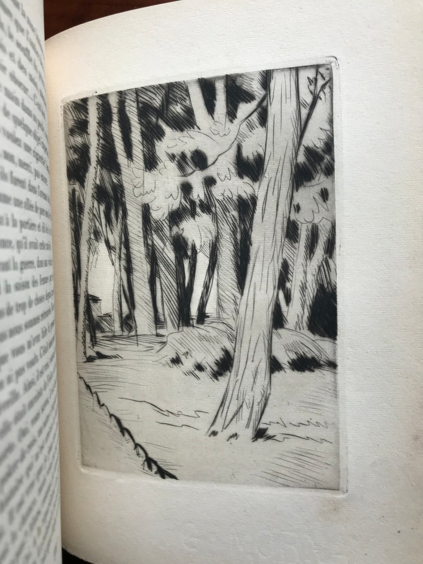 Nuits de Princes - Joseph Kessel - Illustrations de Edelmann - 1927