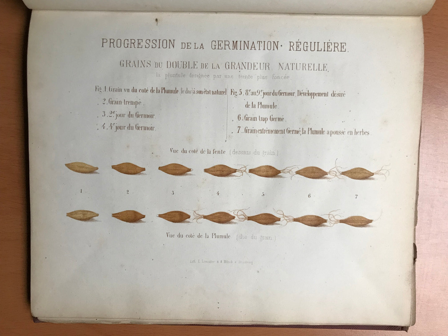 Guide pratique de la fabrication de la Bière d'après les procédés les plus récents, suivi du code des contributions indirectes en ce qui concerne la brasserie - J.-B. Bauby - 1867