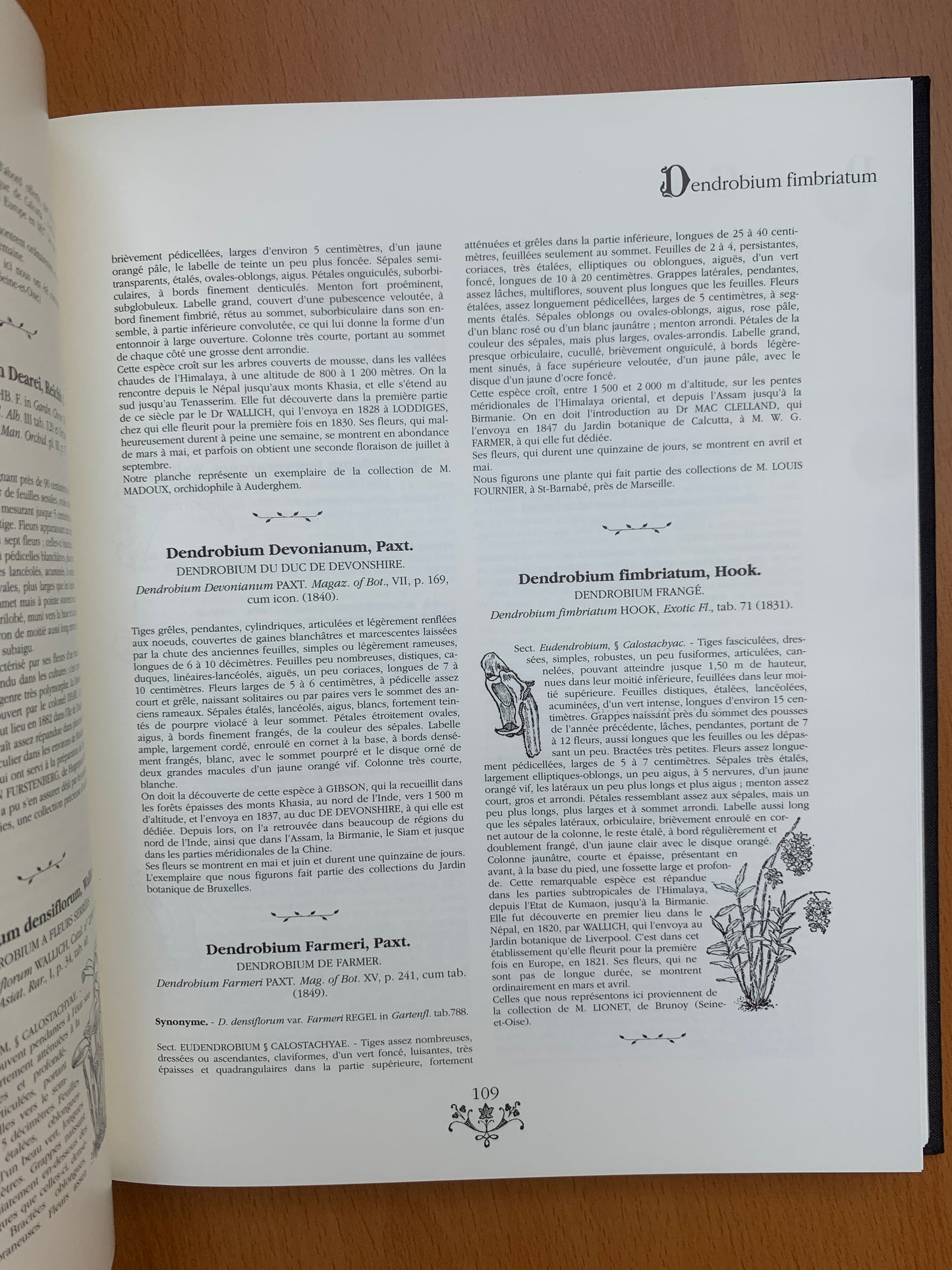 Orchidées - Dictionnaire iconographique - Cogniaux et Goossens - 1990
