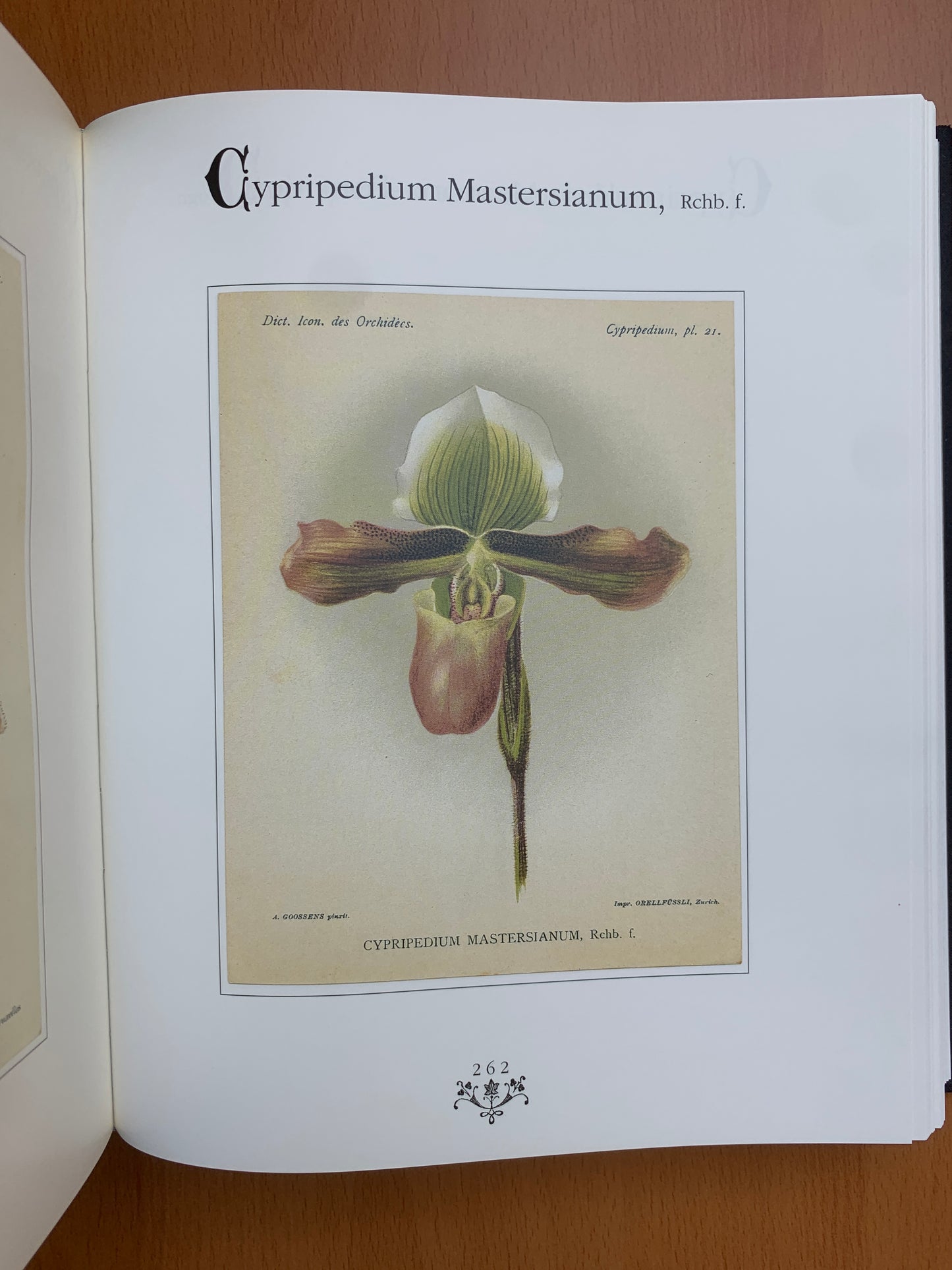 Orchidées - Dictionnaire iconographique - Cogniaux et Goossens - 1990