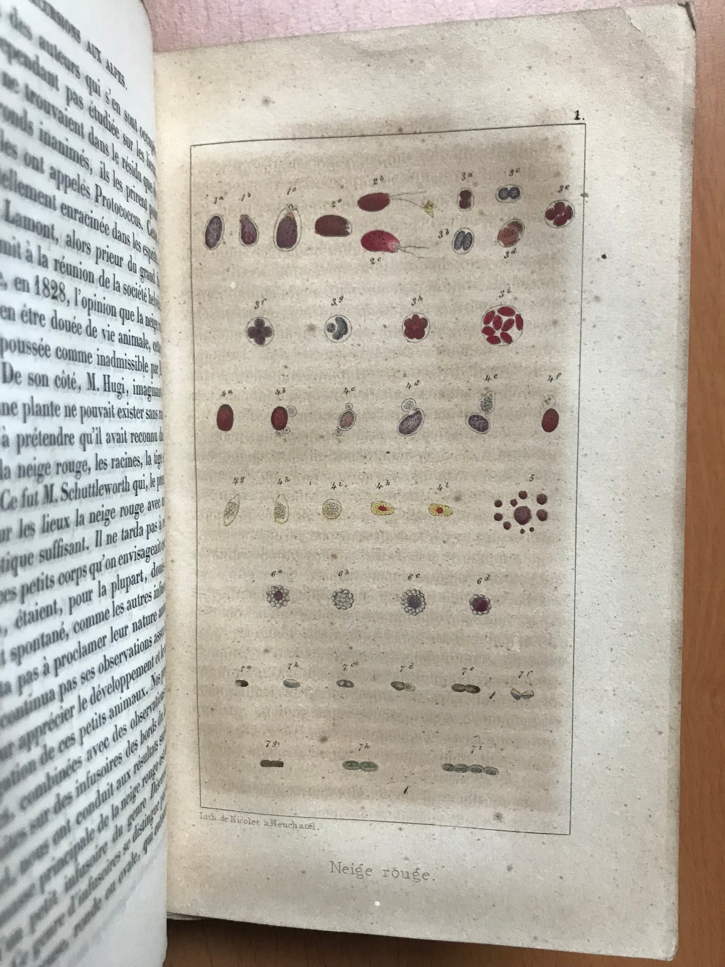 Excursions et séjours dans les glaciers et les hautes régions des Alpes de M. Agassiz et de ses compagnons de voyage - Edouard Desor - Edition originale - 1844