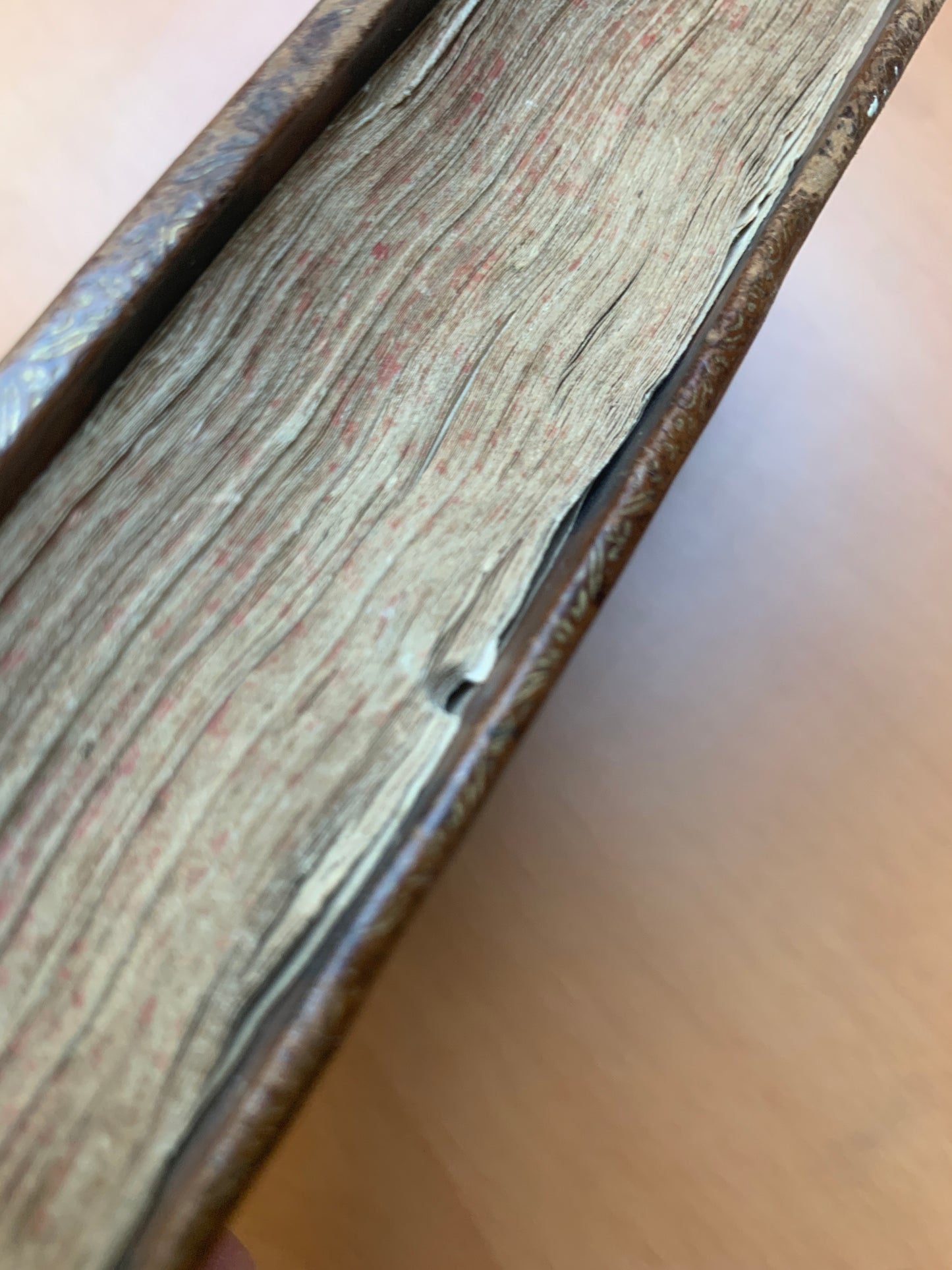 Voyage de Texeira ou l'Histoire des Rois de Perse - Tome 1 - 1681