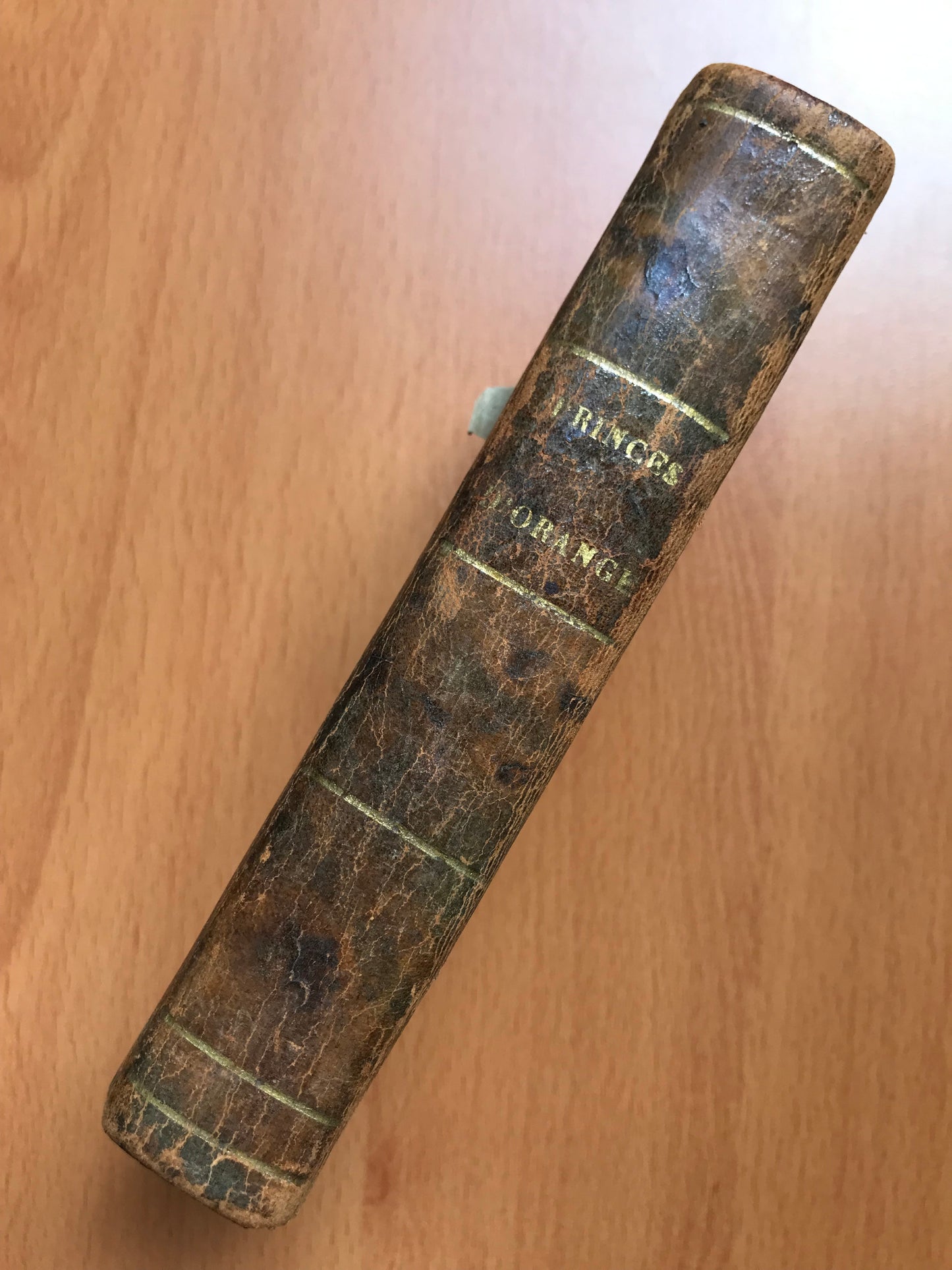 Histoire des Princes d'Orange de la Maison de Nassau - Adrien Baillet - 1693