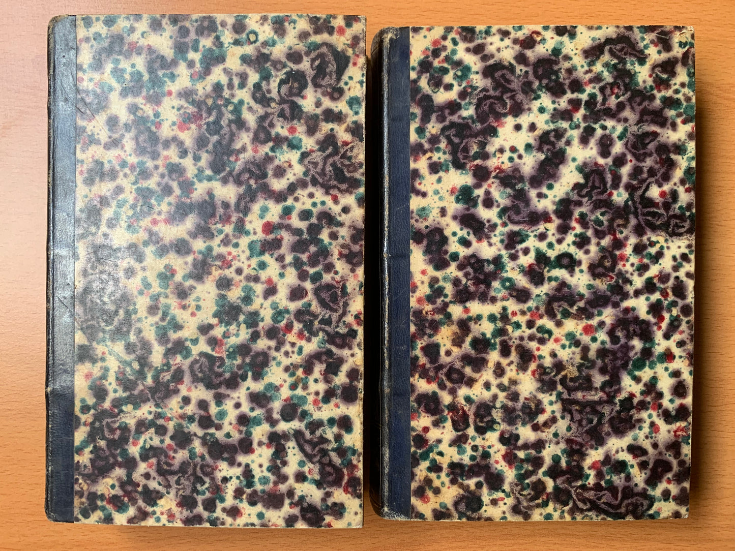 Flore de la Côte d'Or ou Description des plantes indigènes et des espèces le plus généralement cultivées et acclimatées, observées jusqu'à ce jour dans ce département disposées selon la méthode naturelle de Jussieu. Lorey et Duret - 1831