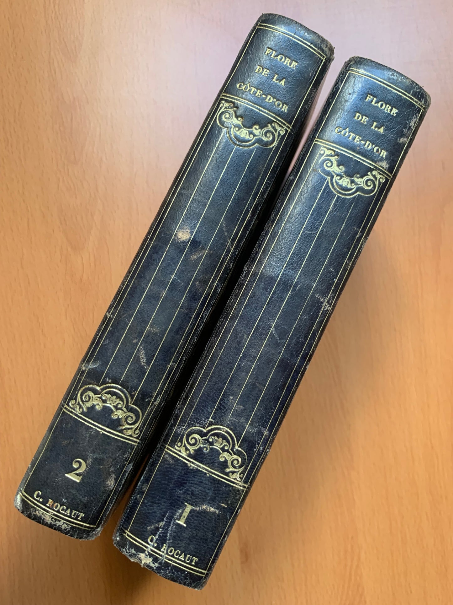 Flore de la Côte d'Or ou Description des plantes indigènes et des espèces le plus généralement cultivées et acclimatées, observées jusqu'à ce jour dans ce département disposées selon la méthode naturelle de Jussieu. Lorey et Duret - 1831