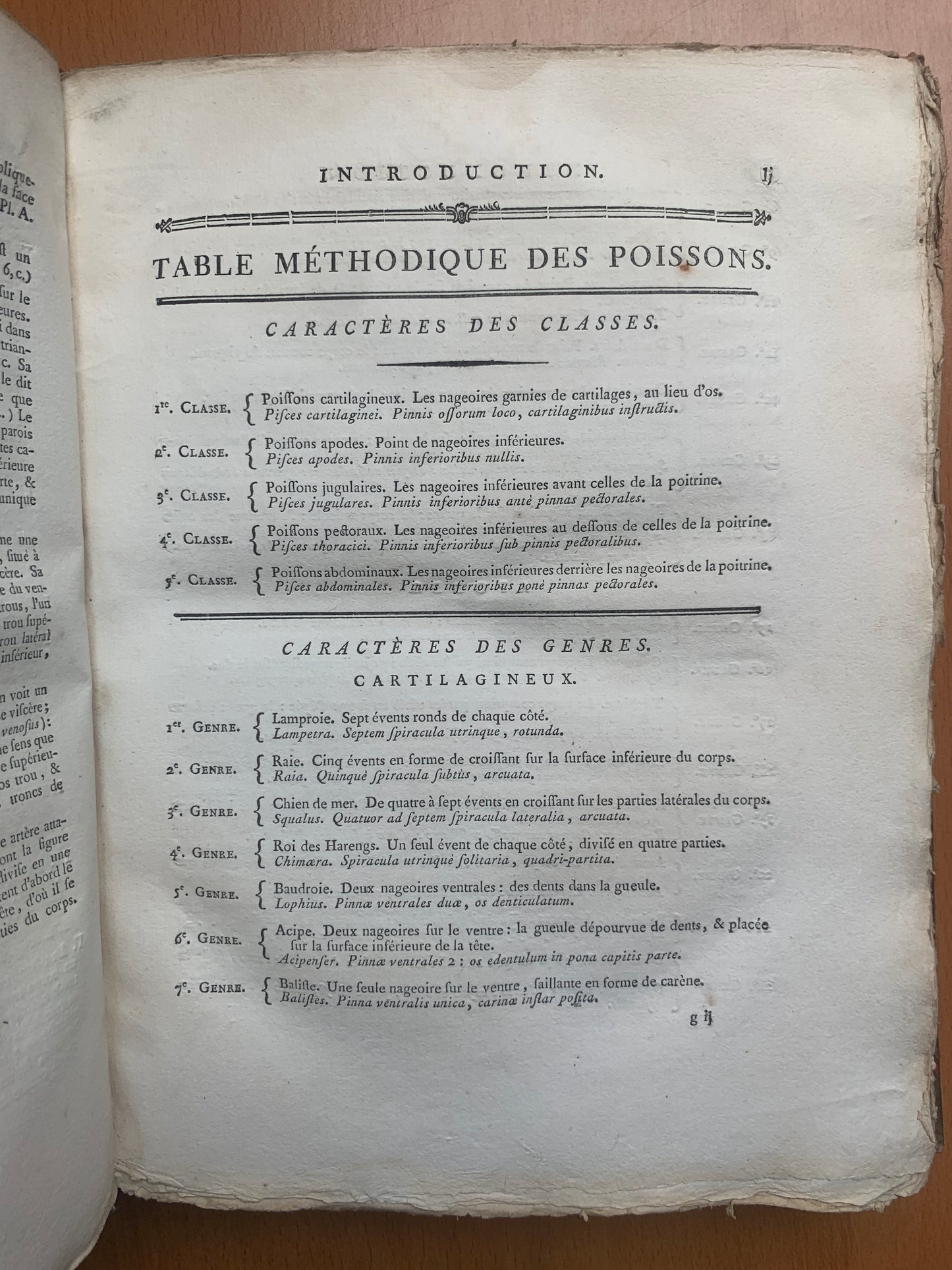 Ichthyologie - Poissons - Tableau encyclopédique - Abbé Bonnaterre - 1788