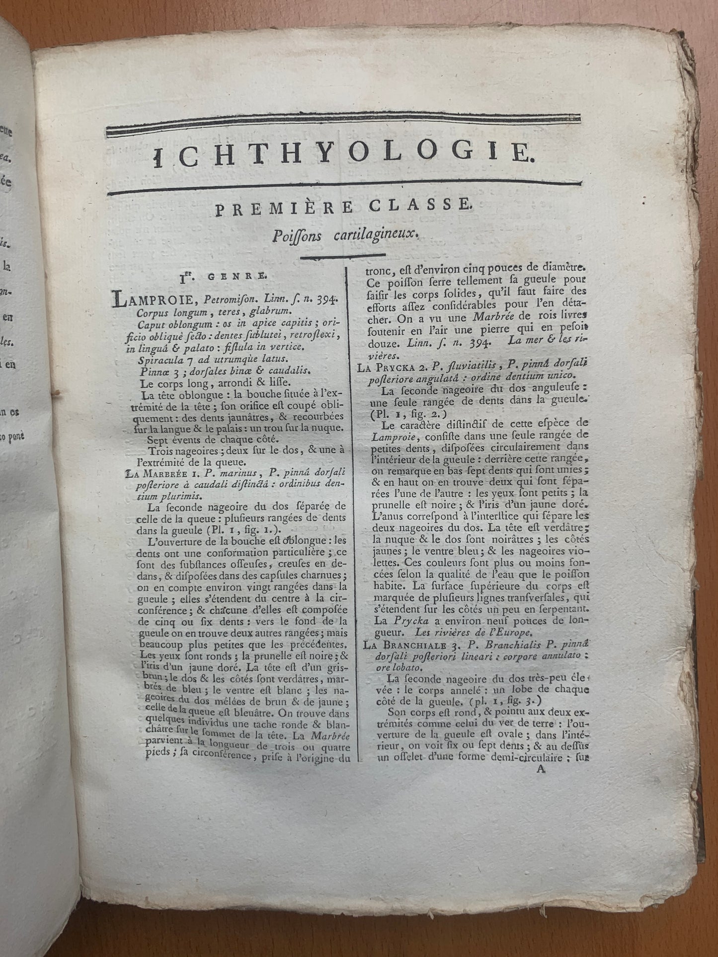Ichthyologie - Poissons - Tableau encyclopédique - Abbé Bonnaterre - 1788