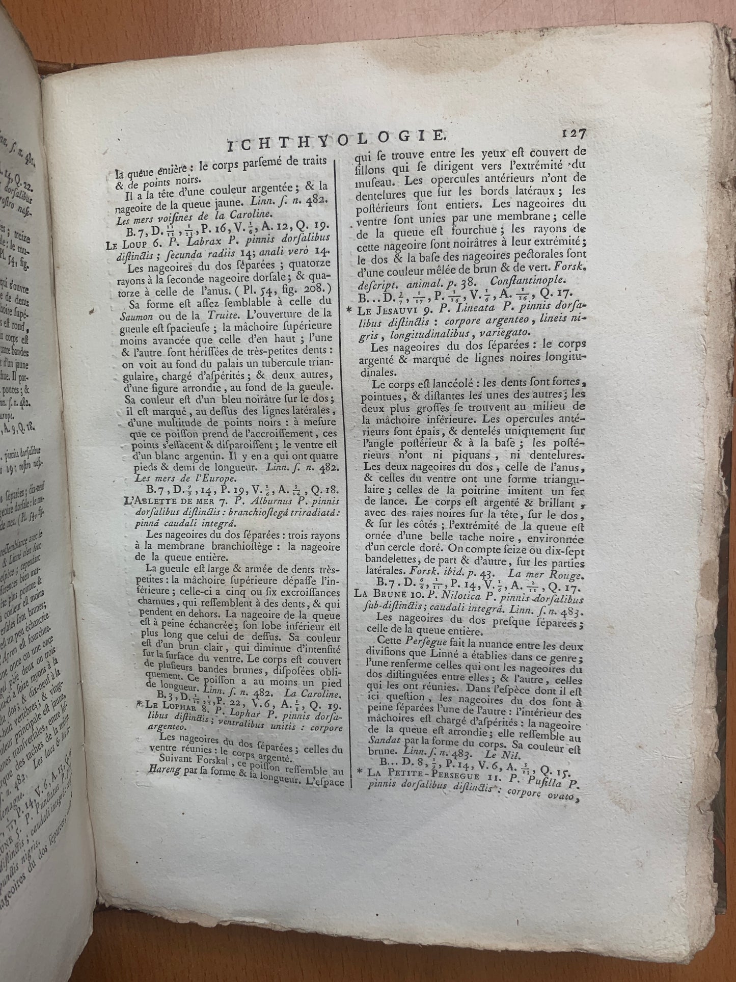 Ichthyologie - Poissons - Tableau encyclopédique - Abbé Bonnaterre - 1788
