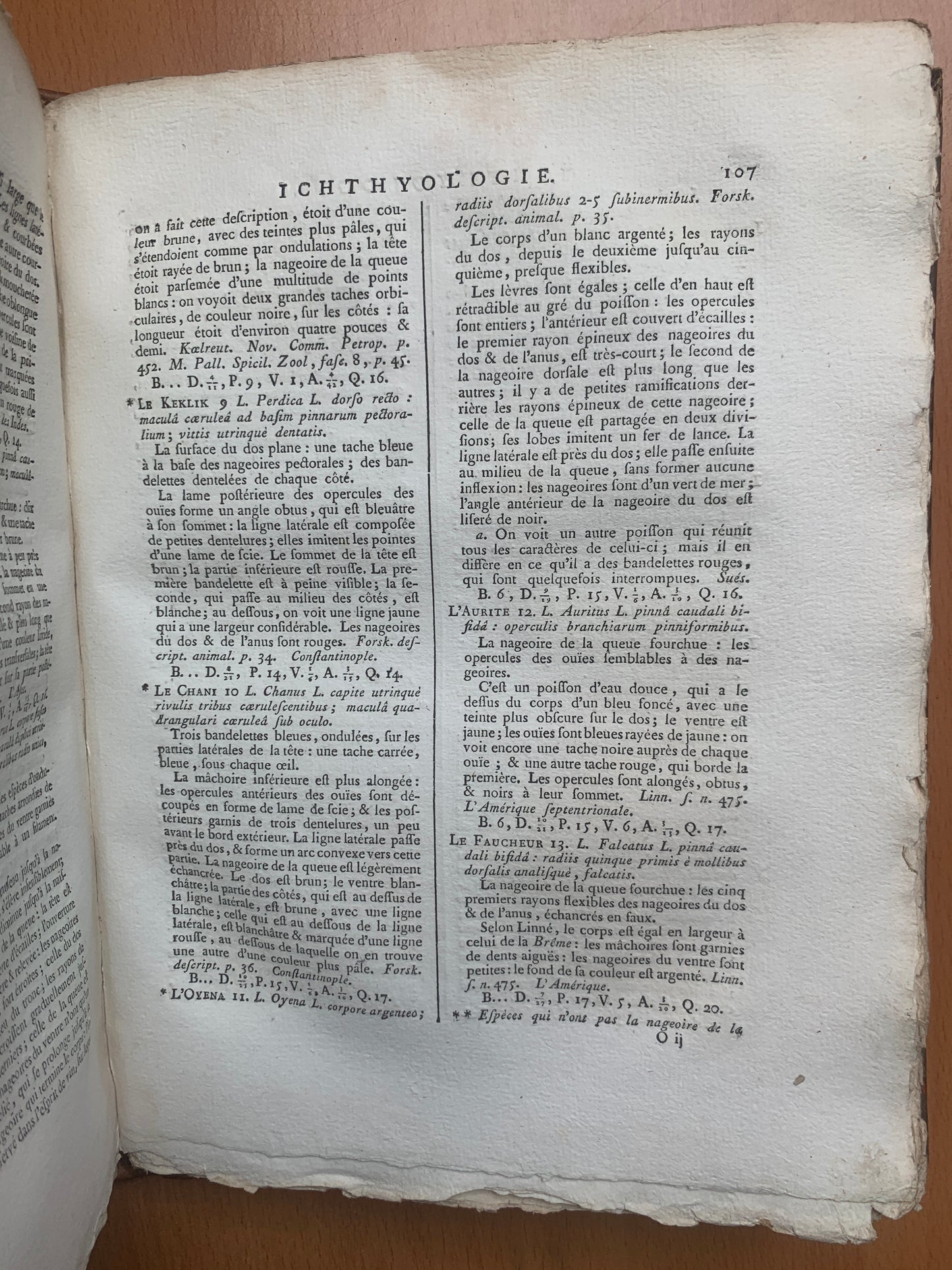 Ichthyologie - Poissons - Tableau encyclopédique - Abbé Bonnaterre - 1788