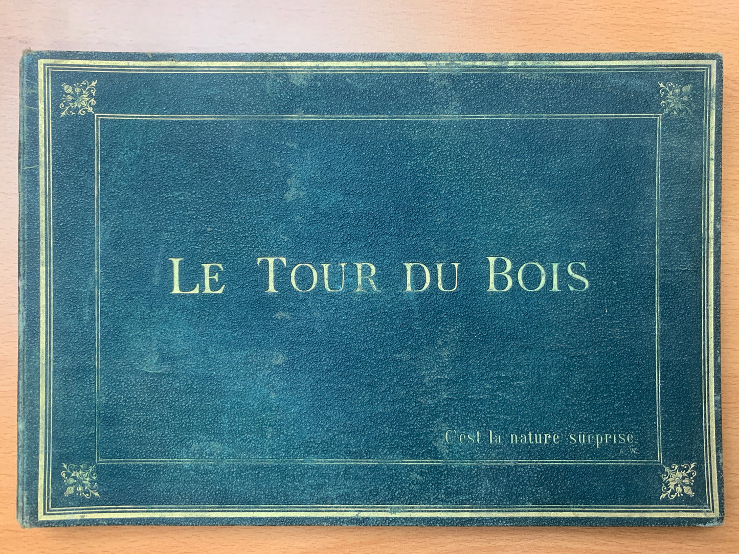 Le Tour du Bois - Photographie hippique au Bois de Boulogne et Boulevard saint-Germain - J. Delton - 1884