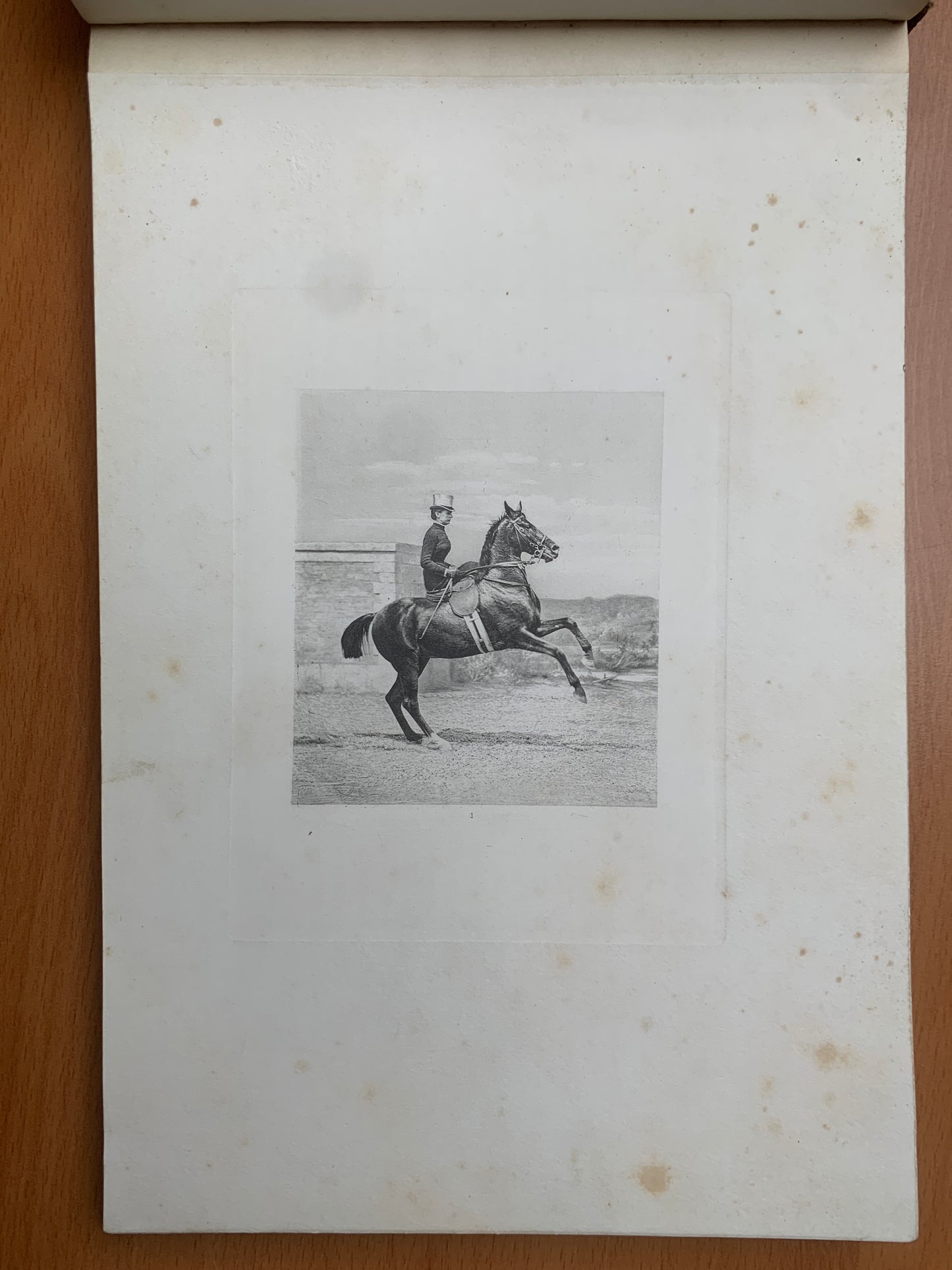 Le Tour du Bois - Photographie hippique au Bois de Boulogne et Boulevard saint-Germain - J. Delton - 1884