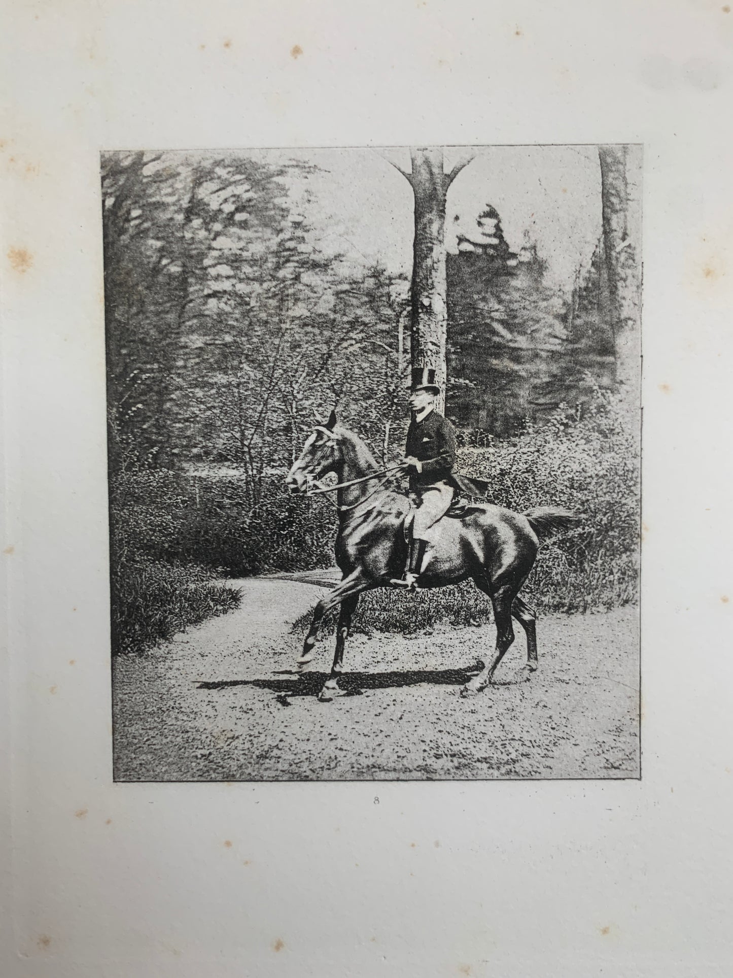 Le Tour du Bois - Photographie hippique au Bois de Boulogne et Boulevard saint-Germain - J. Delton - 1884