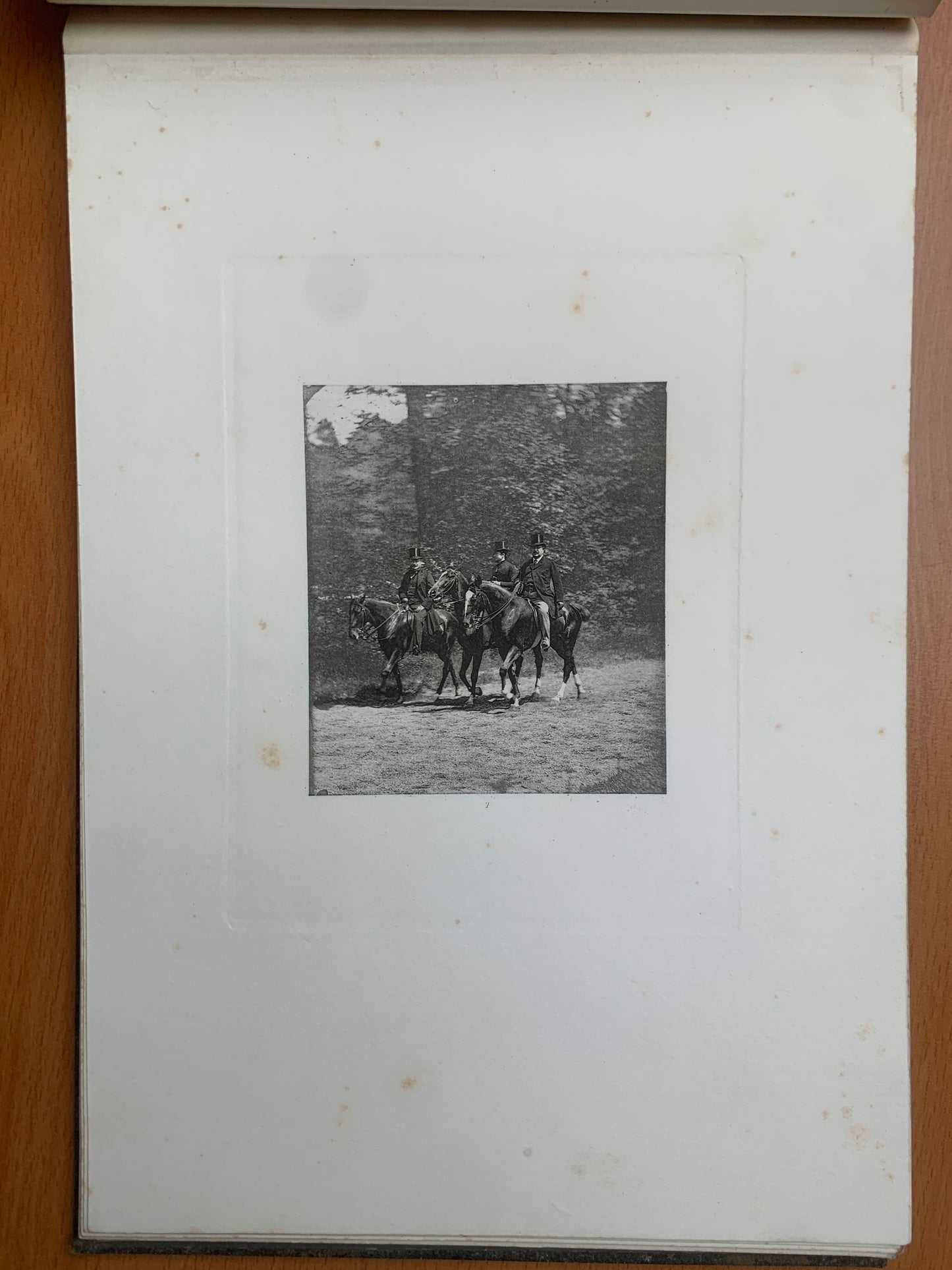 Le Tour du Bois - Photographie hippique au Bois de Boulogne et Boulevard saint-Germain - J. Delton - 1884