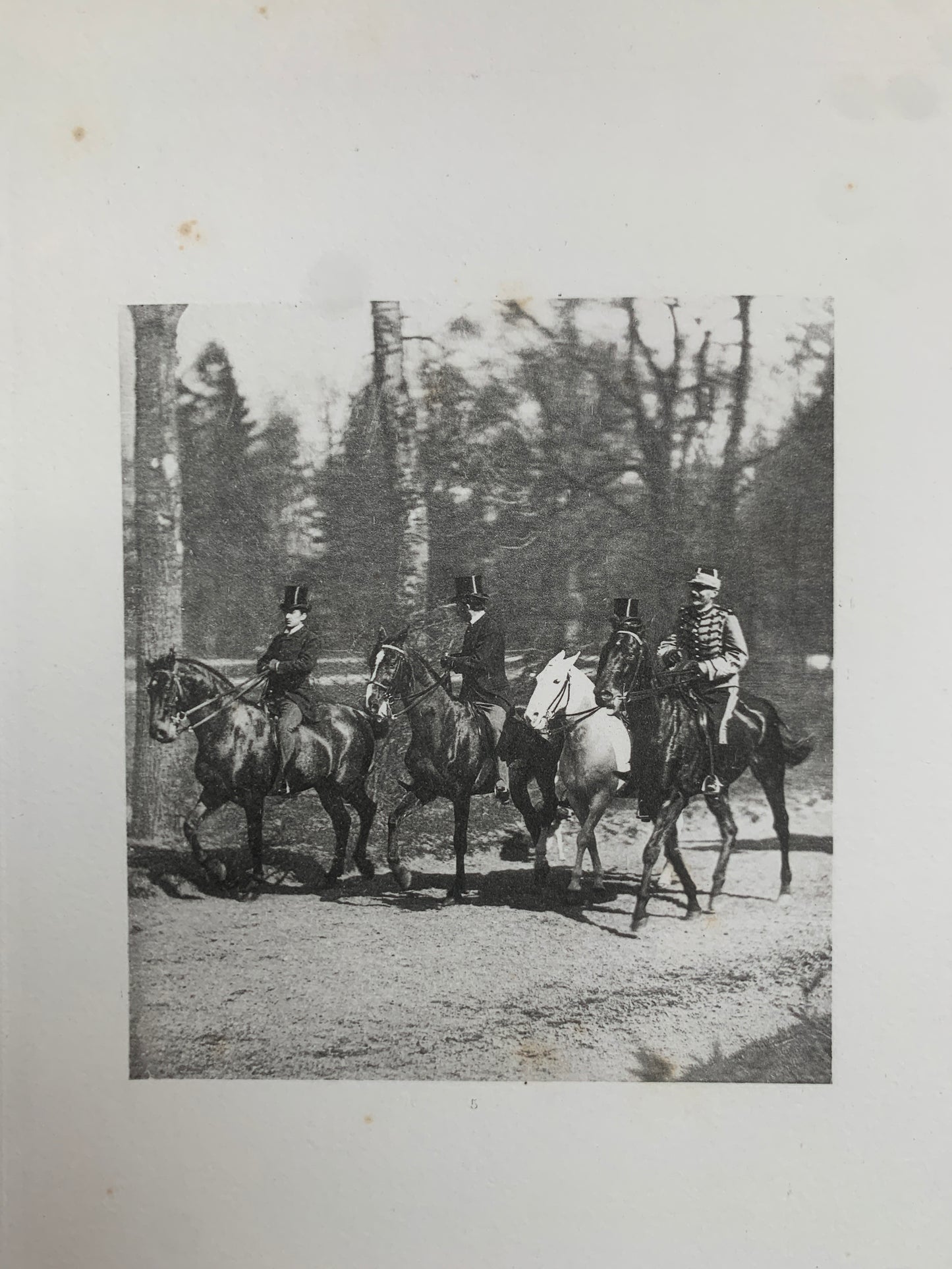 Le Tour du Bois - Photographie hippique au Bois de Boulogne et Boulevard saint-Germain - J. Delton - 1884