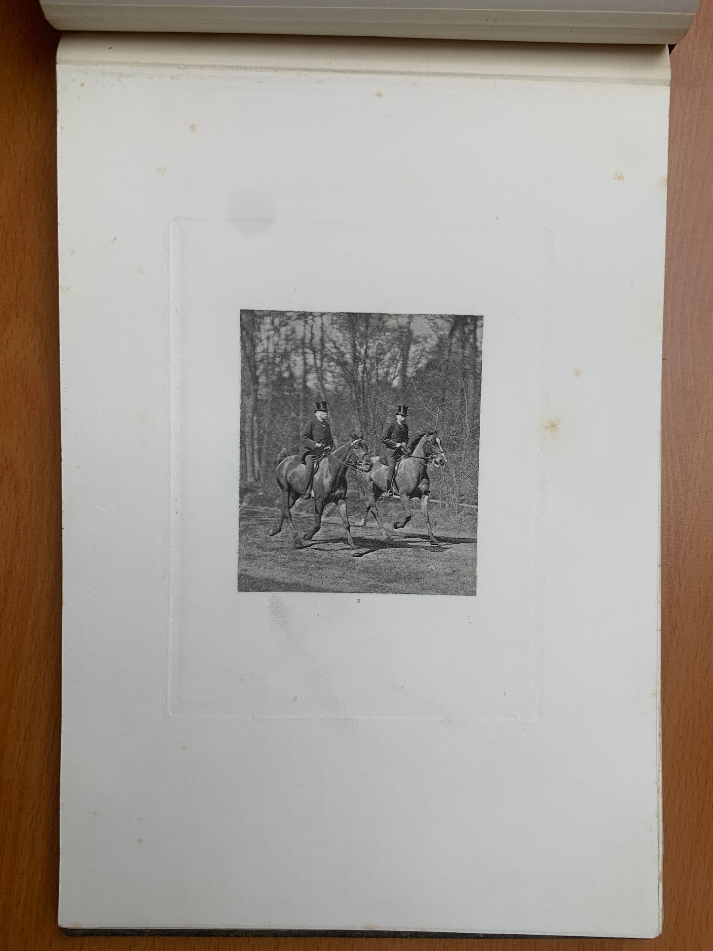 Le Tour du Bois - Photographie hippique au Bois de Boulogne et Boulevard saint-Germain - J. Delton - 1884