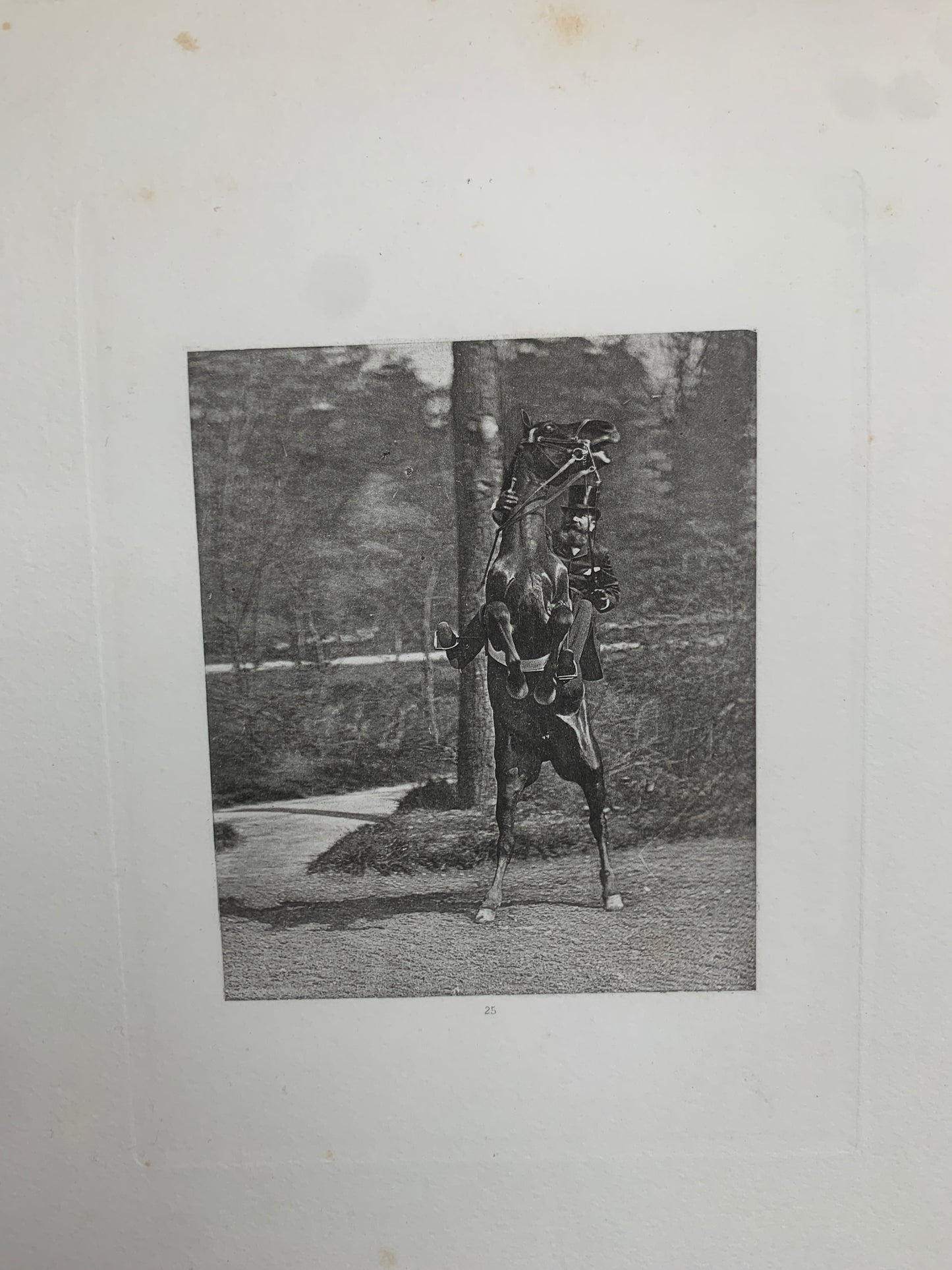 Le Tour du Bois - Photographie hippique au Bois de Boulogne et Boulevard saint-Germain - J. Delton - 1884