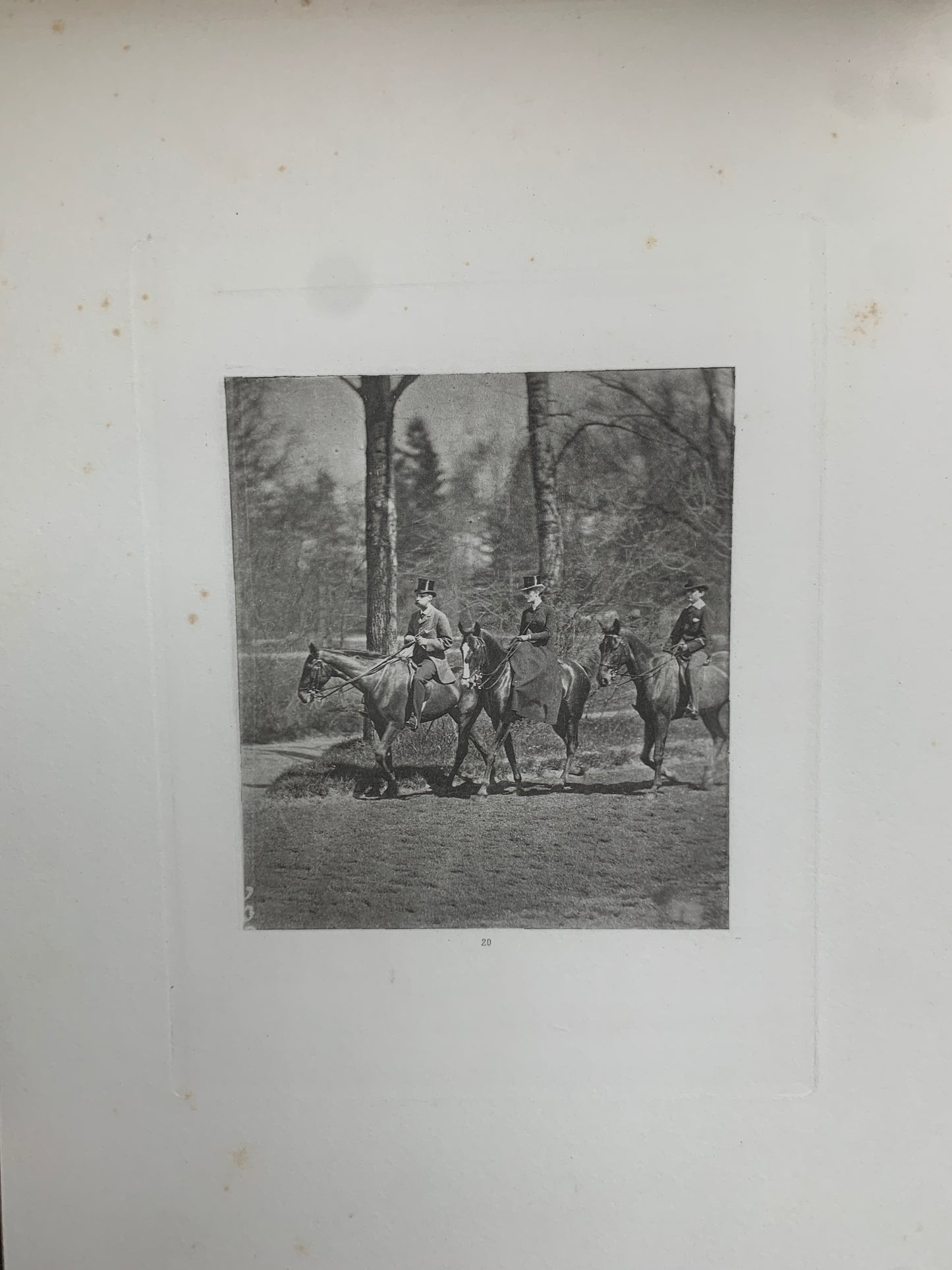 Le Tour du Bois - Photographie hippique au Bois de Boulogne et Boulevard saint-Germain - J. Delton - 1884