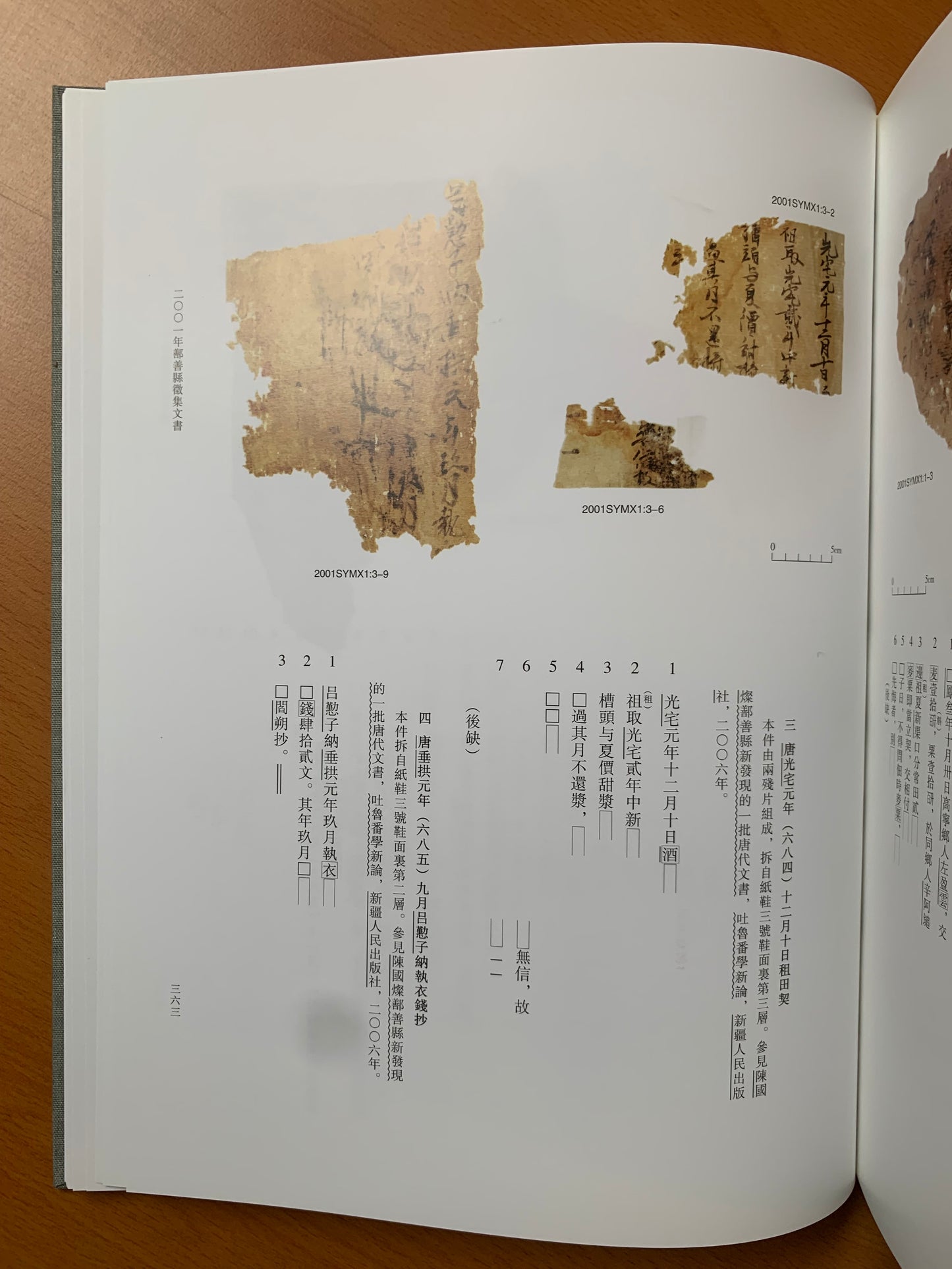 Newly Discovered Turfan Documents