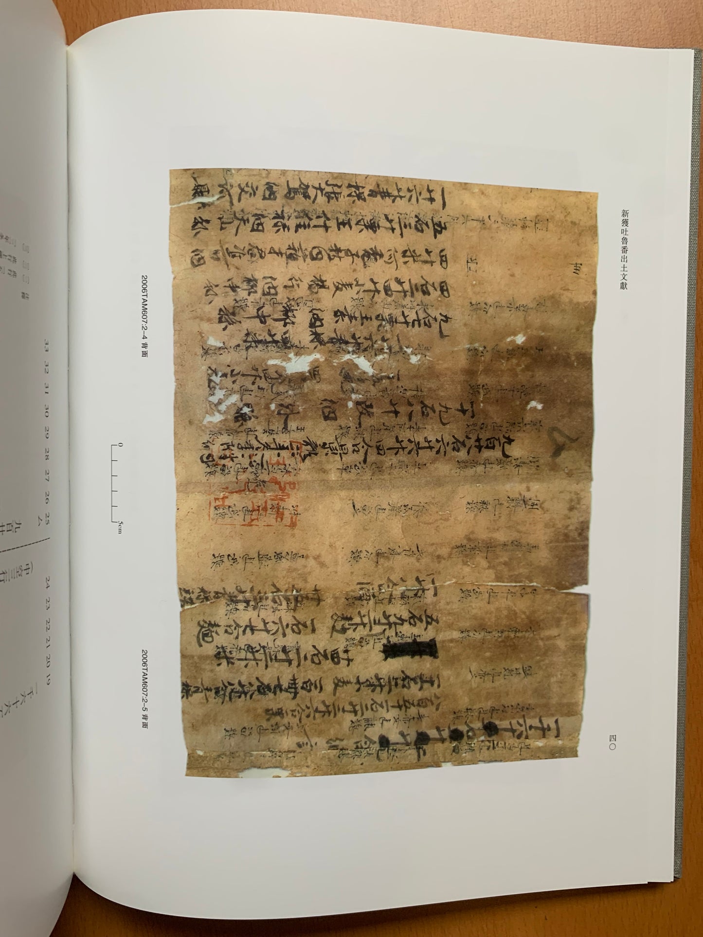 Newly Discovered Turfan Documents