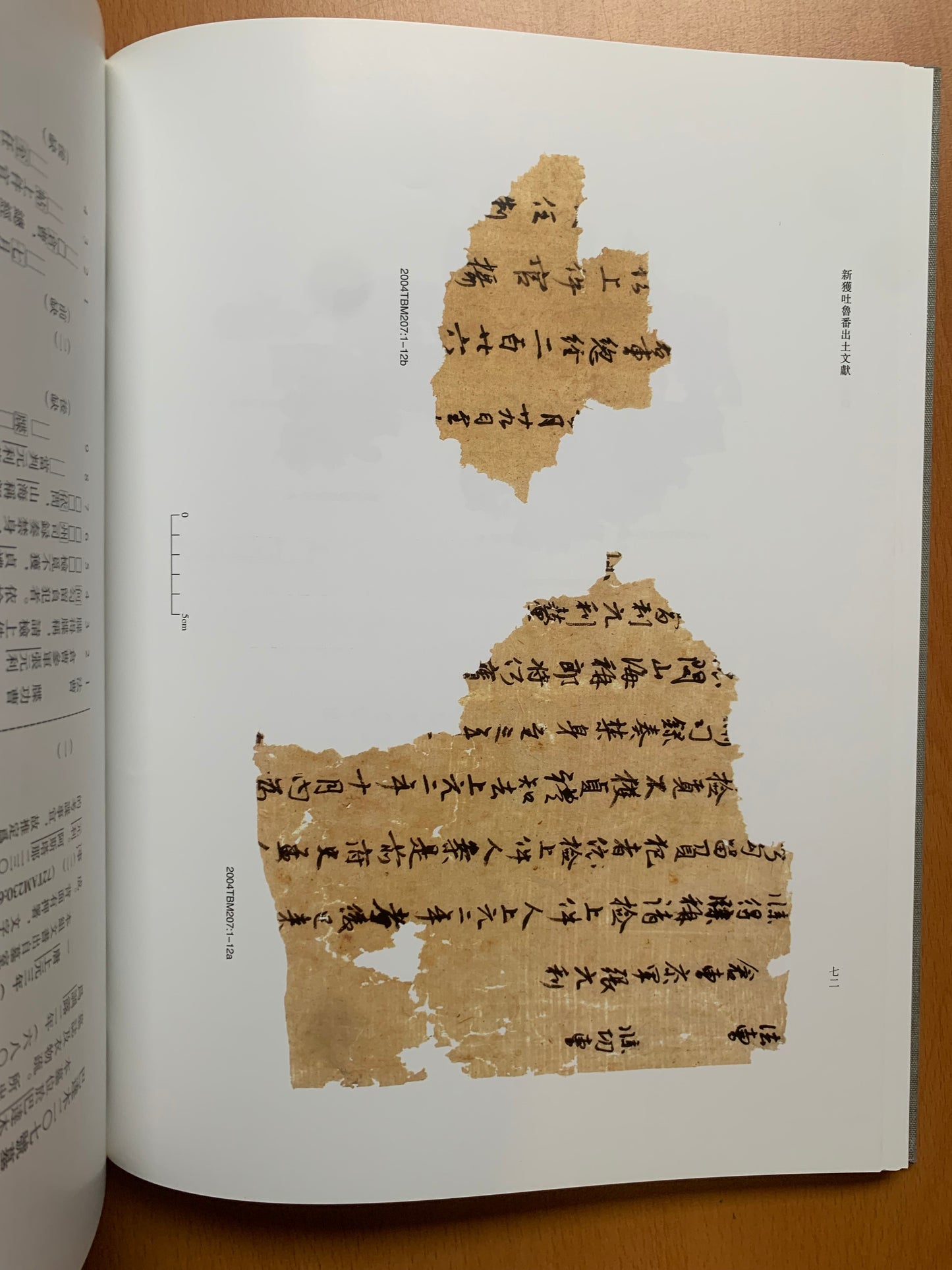 Newly Discovered Turfan Documents