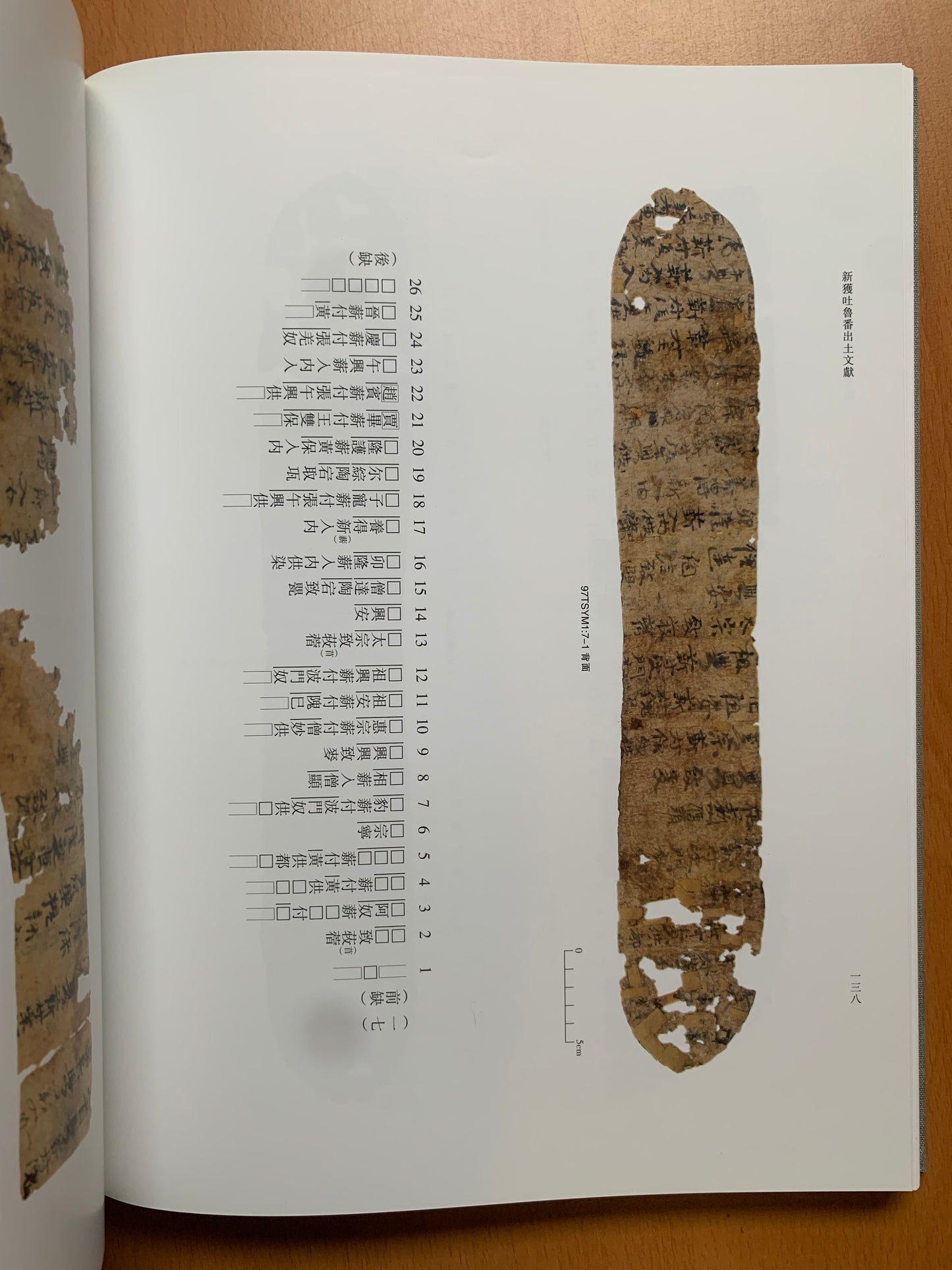 Newly Discovered Turfan Documents