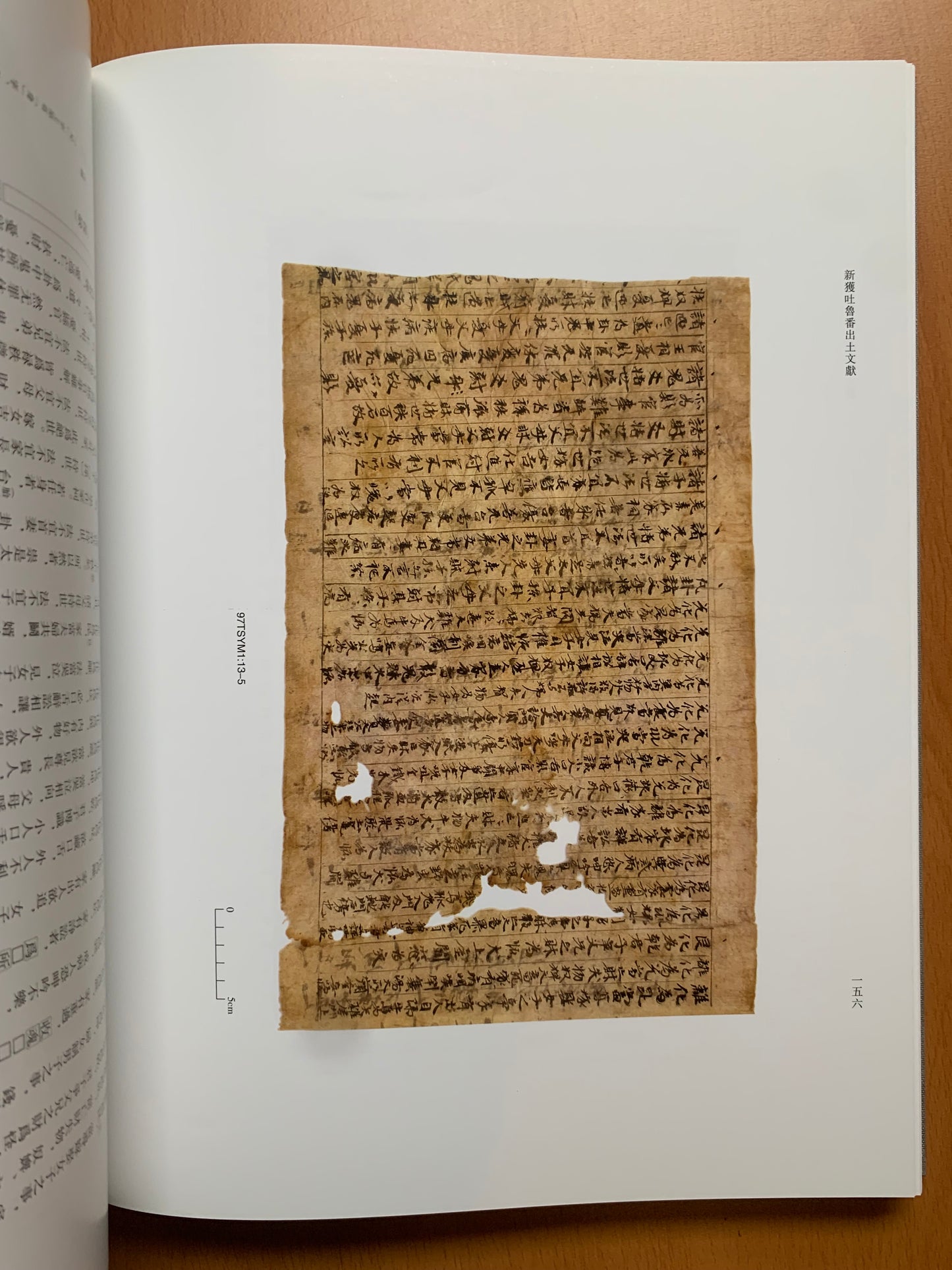 Newly Discovered Turfan Documents