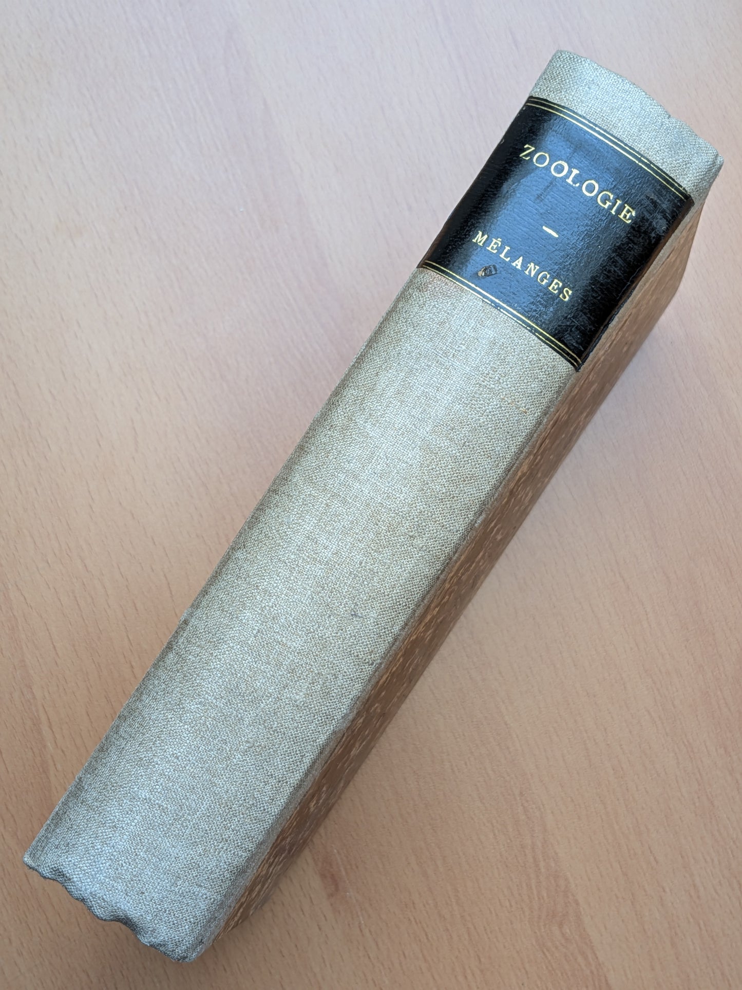 Zoologie - Mélanges - 32 tirés à part de diverses sociétés et académies - Planches - XIXe