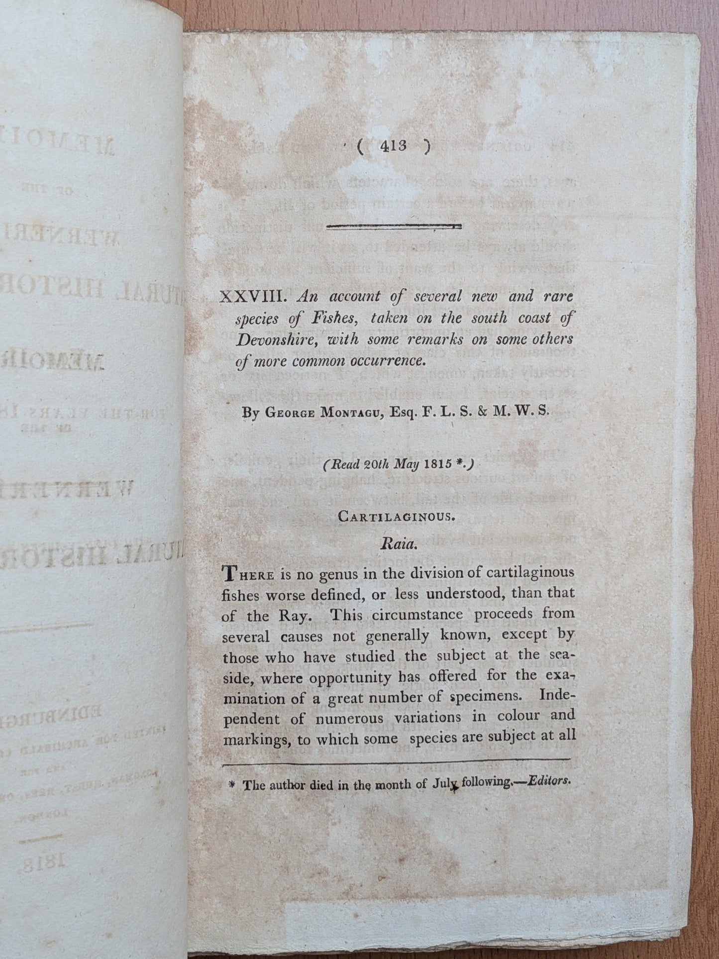 Zoologie - Mélanges - 32 tirés à part de diverses sociétés et académies - Planches - XIXe